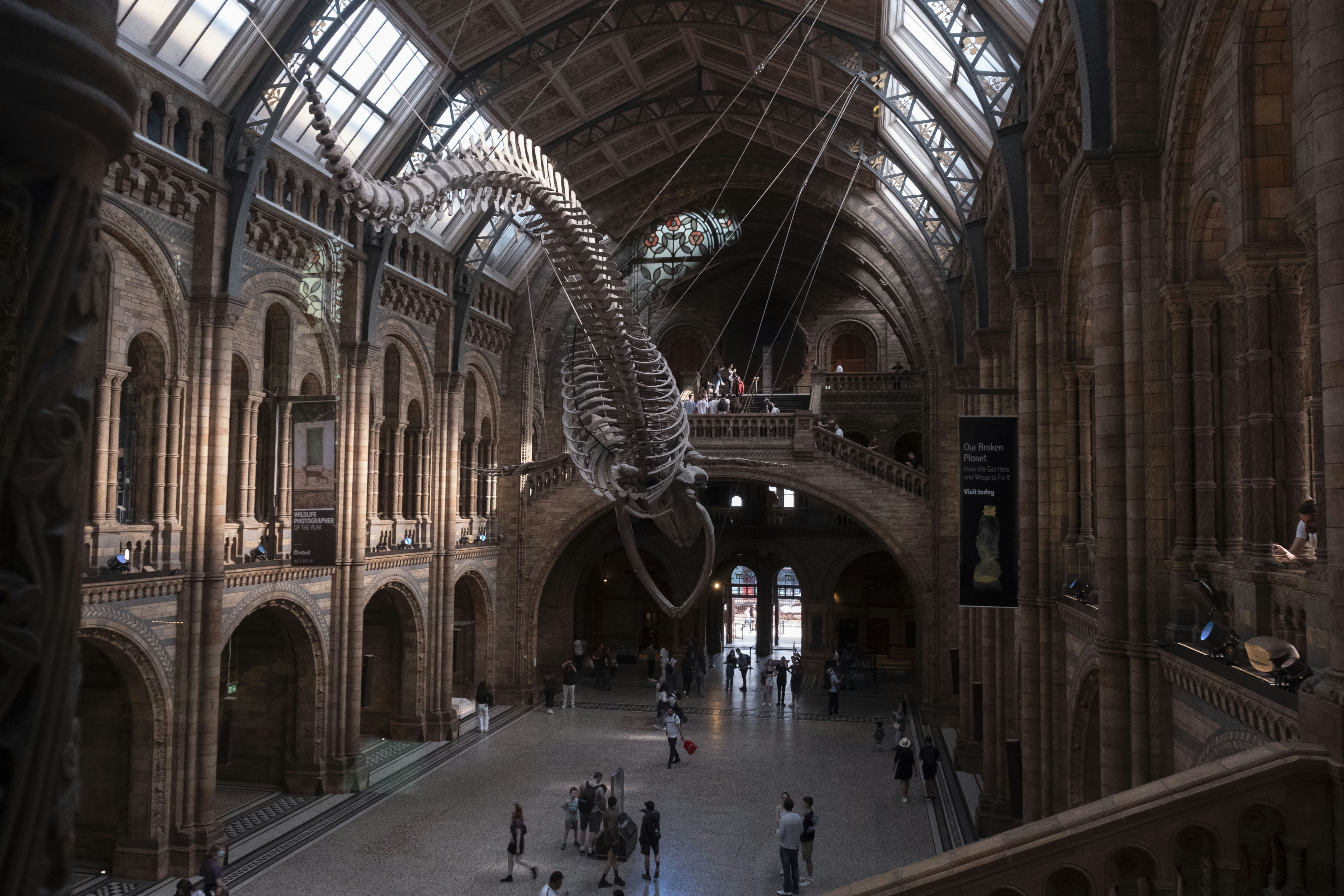 Photo by photohelensoroka