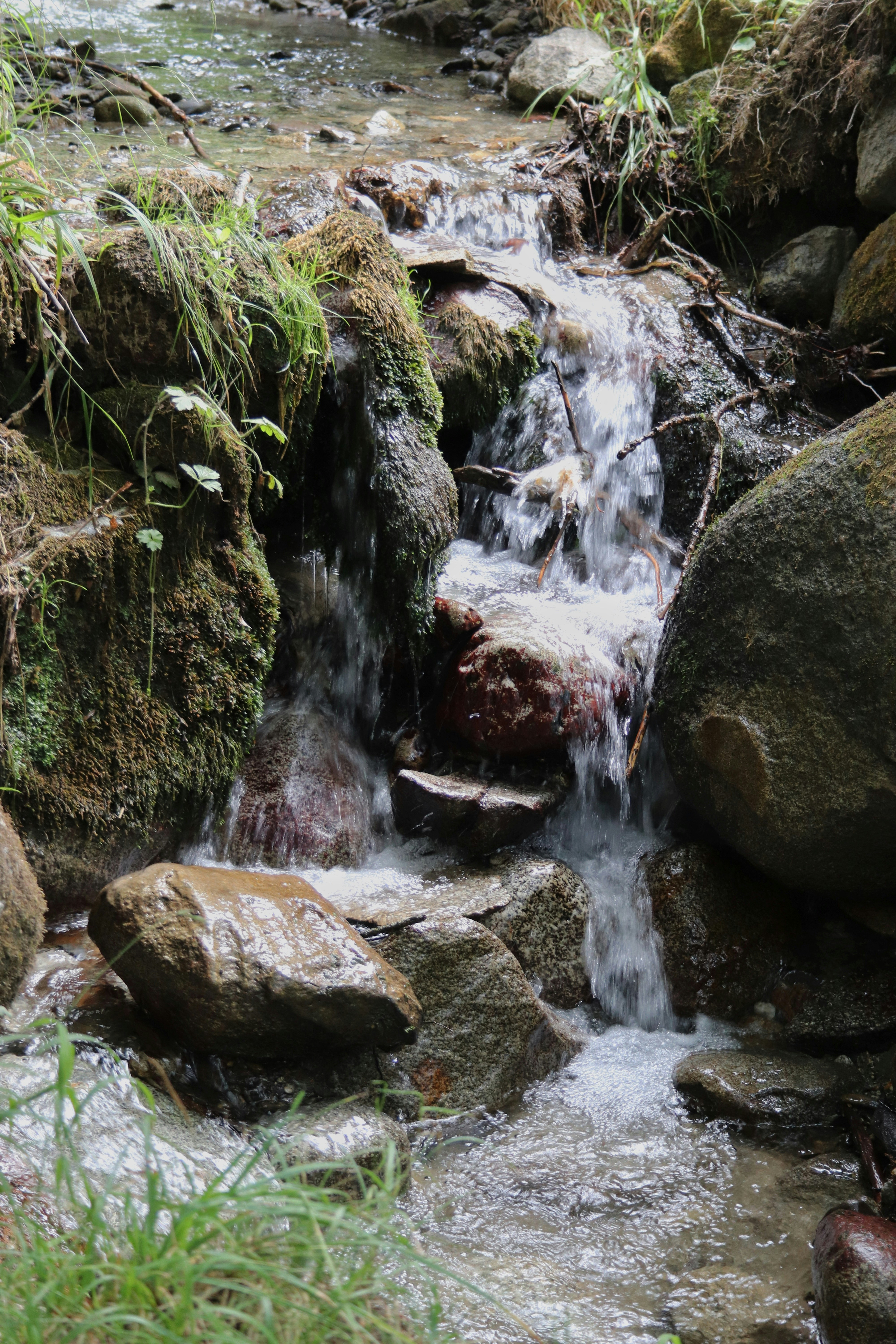 Photo by albacalbeto