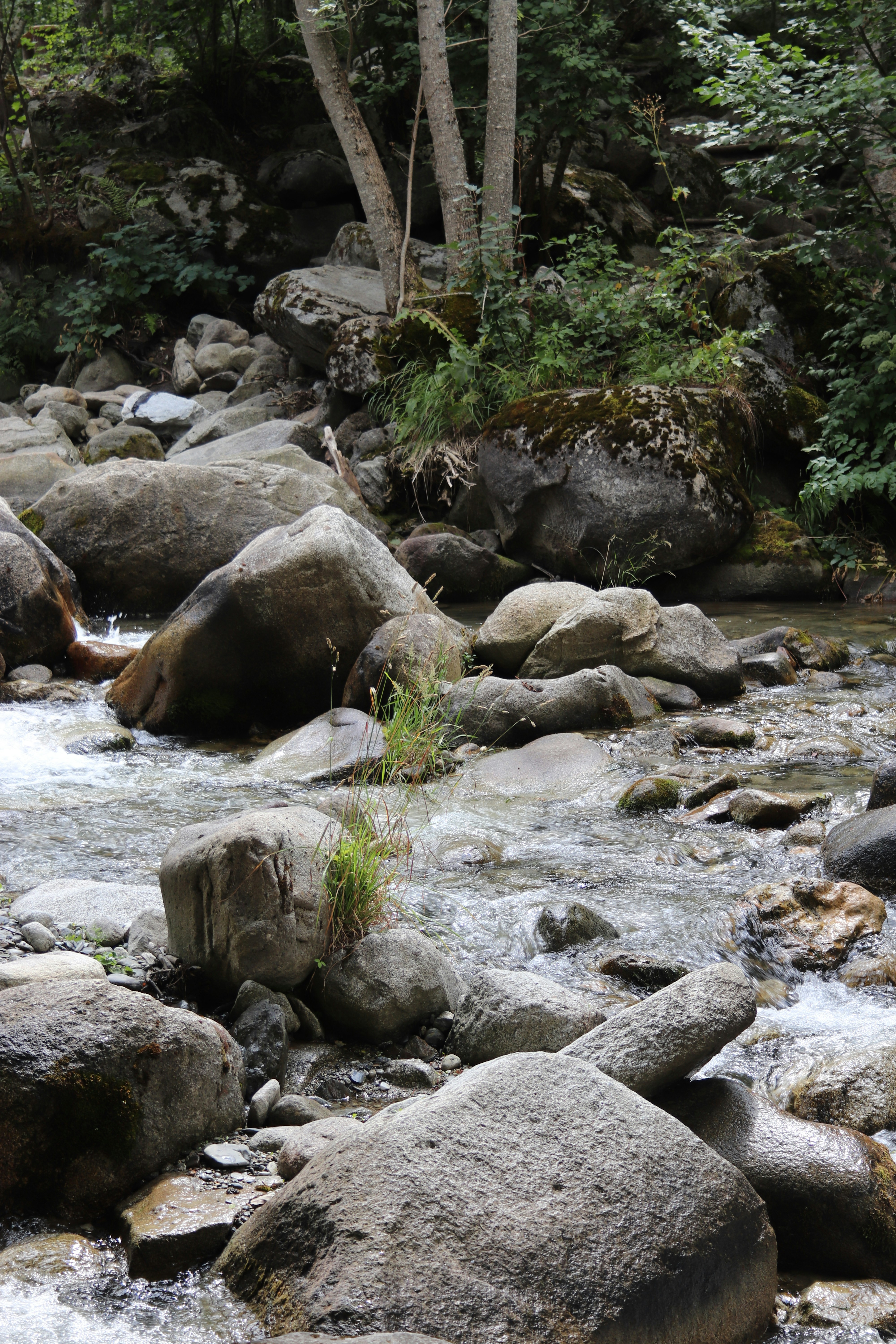 Photo by albacalbeto