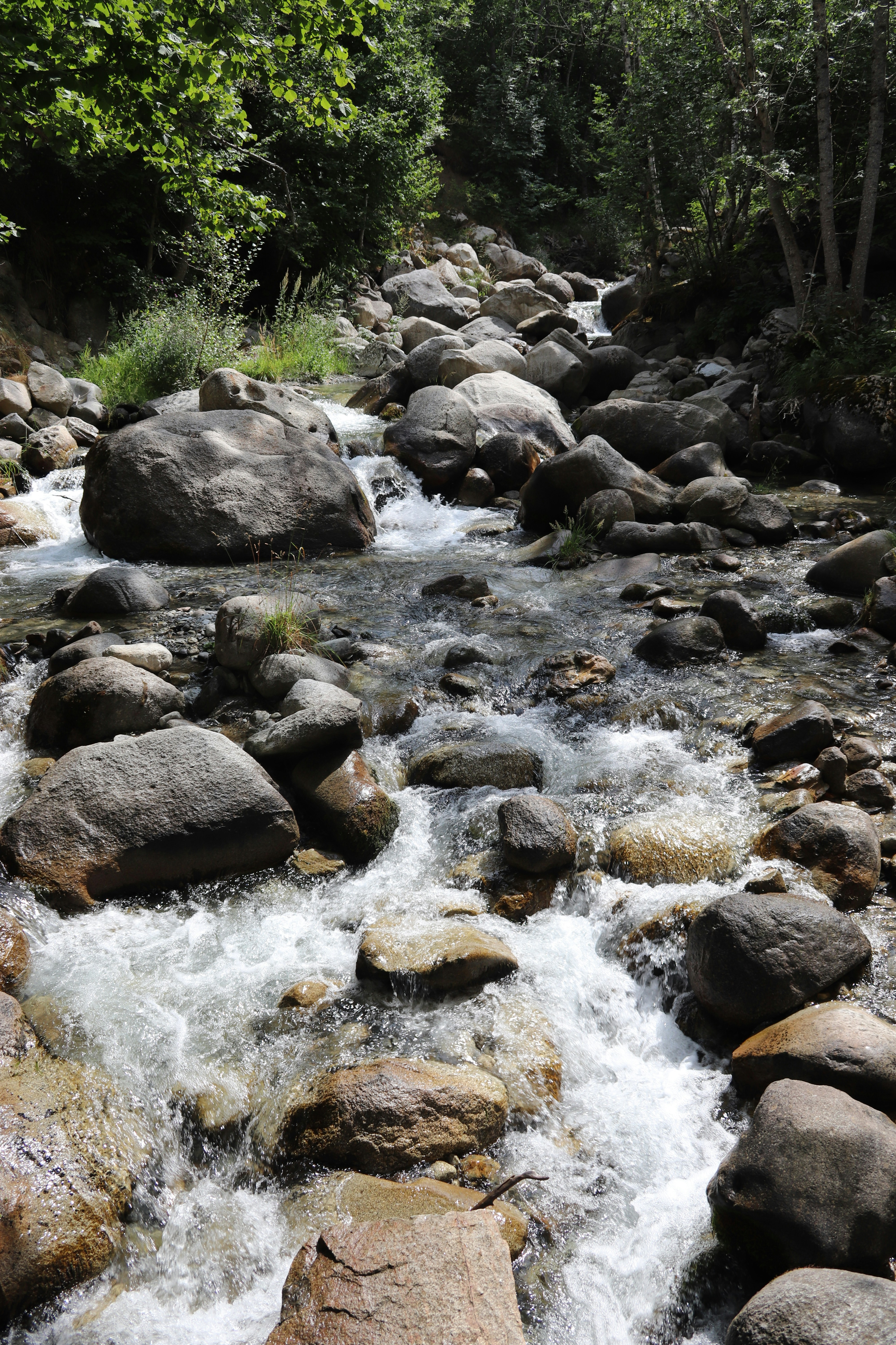 Photo by albacalbeto