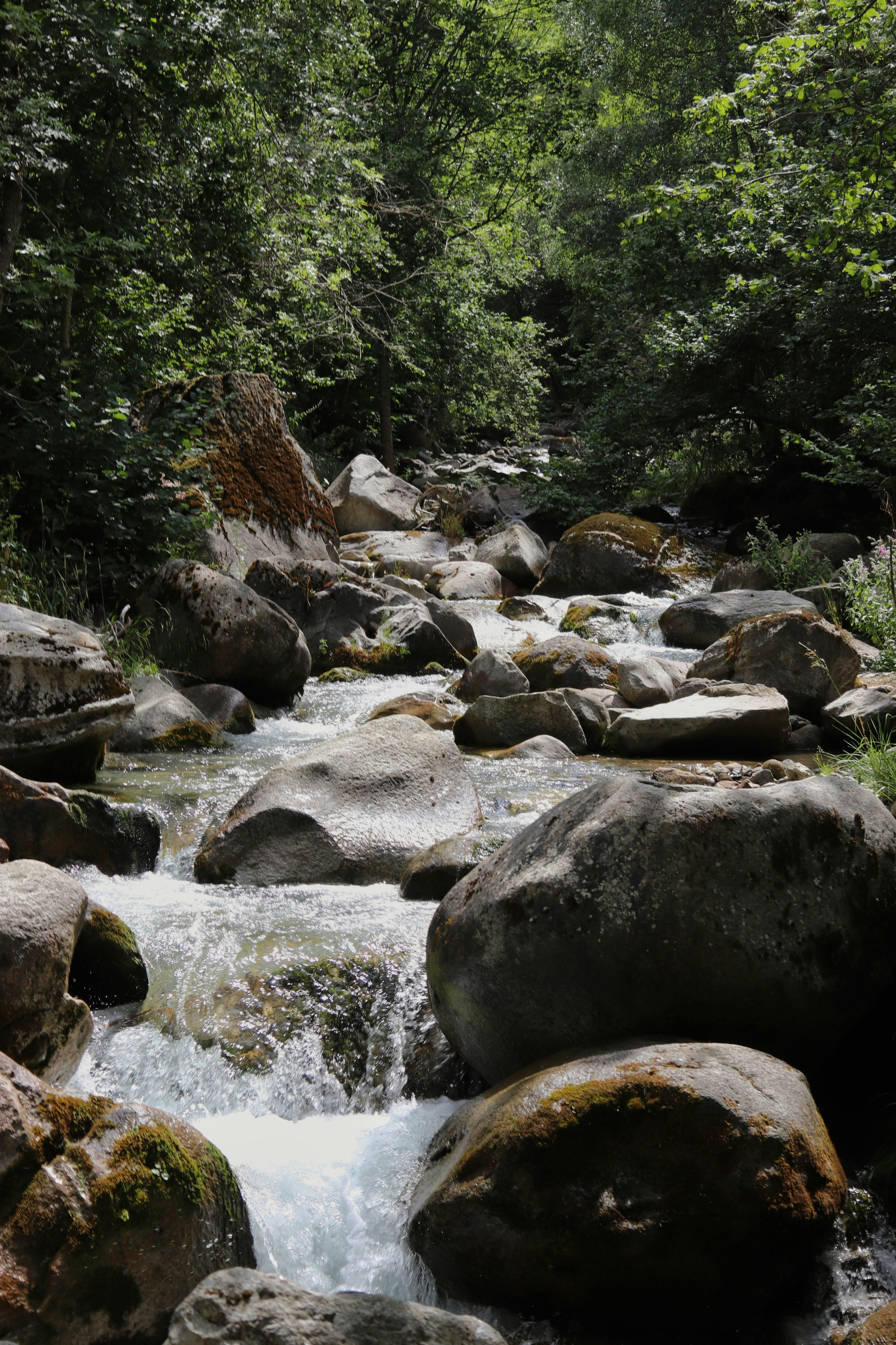 Photo by albacalbeto