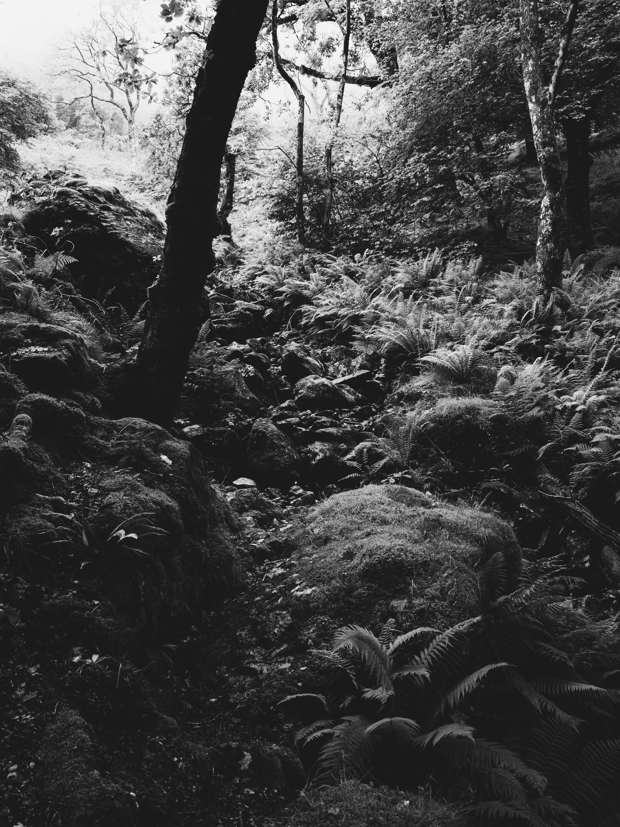 Photo by benjamin_photography