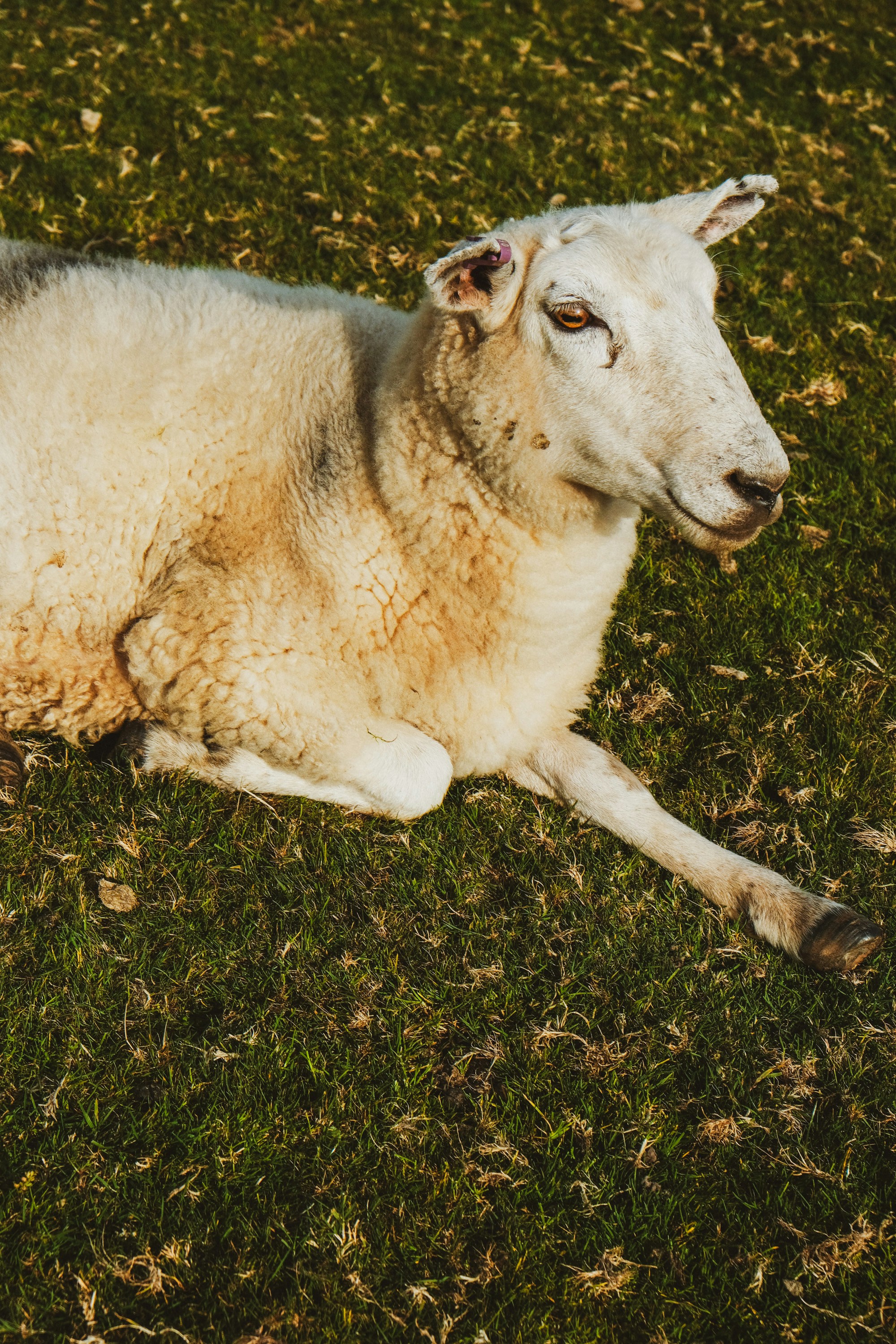 Photo by benjamin_photography