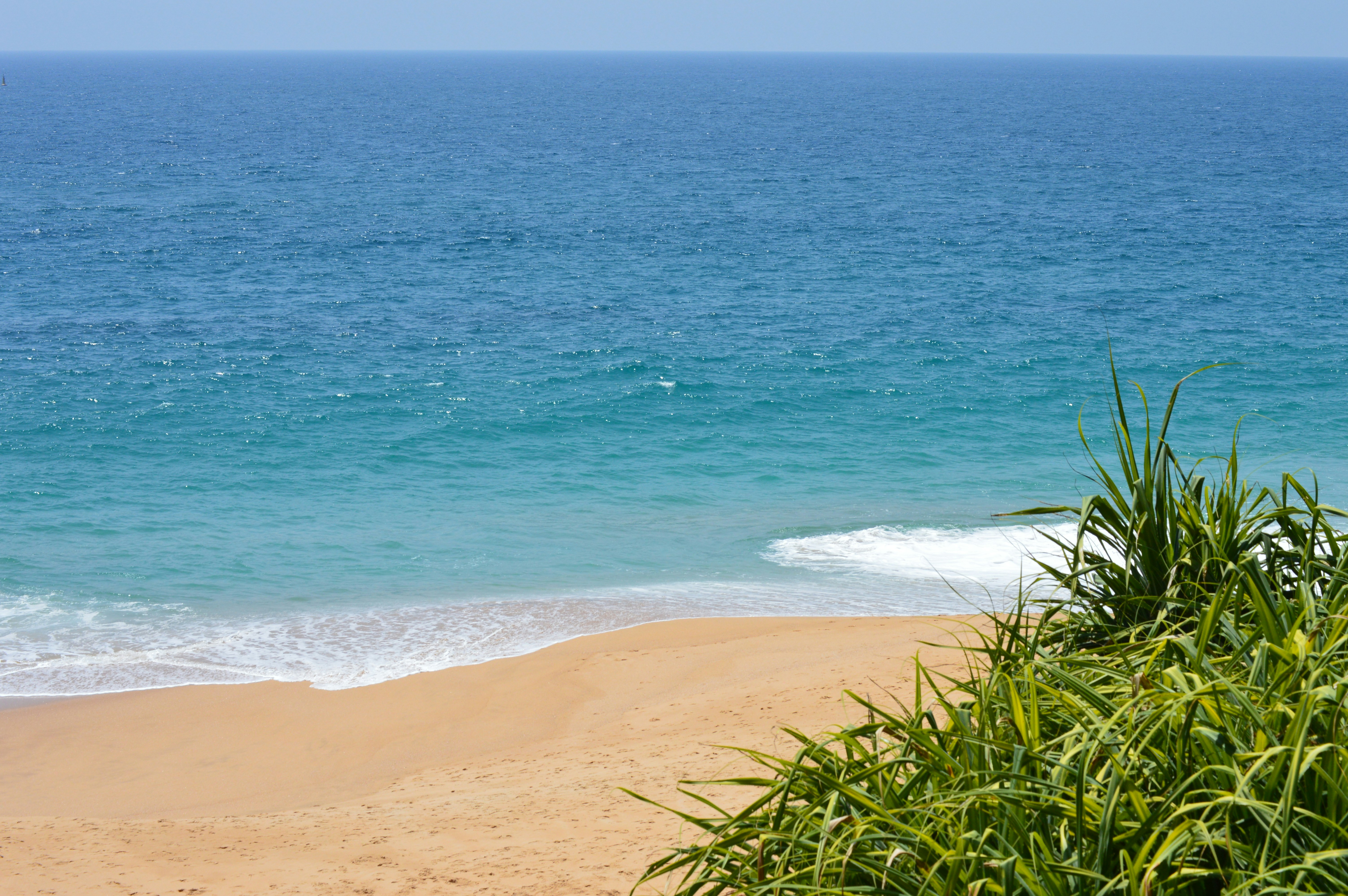 Photo by jithinvijayamohanan