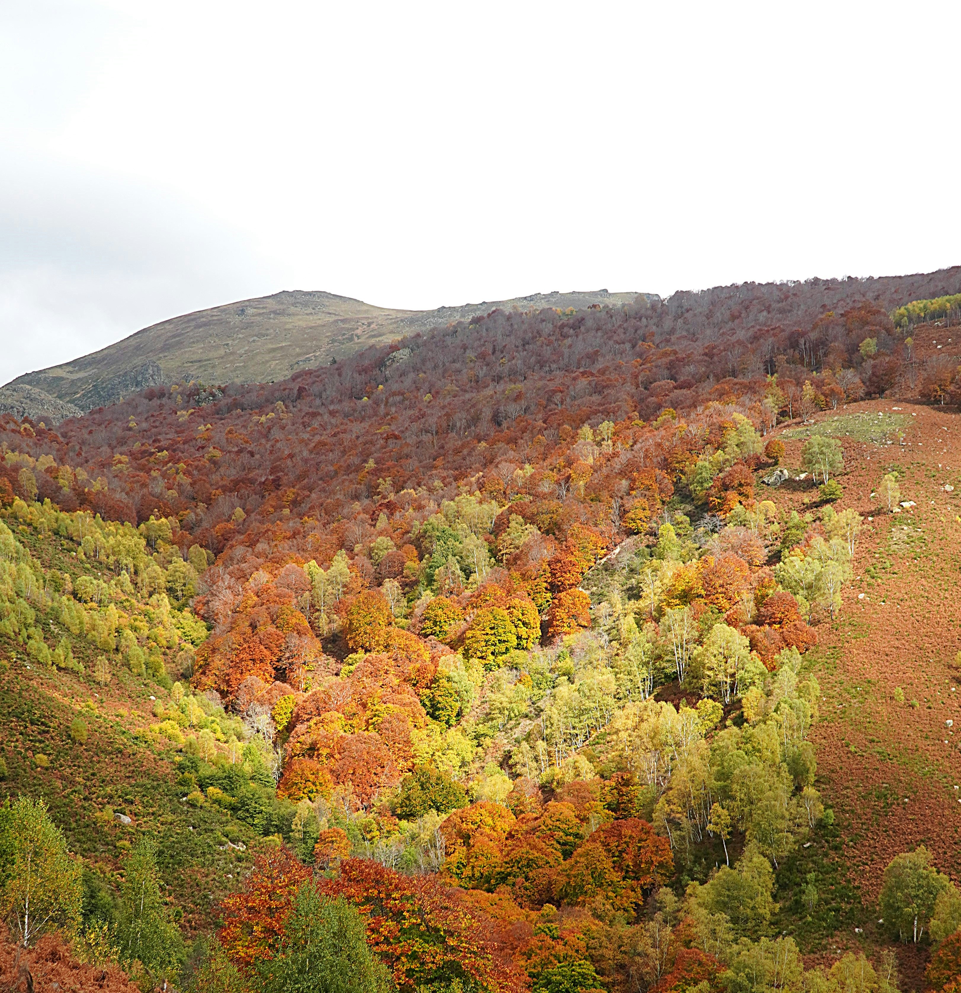 Photo by wholenewworldphoto