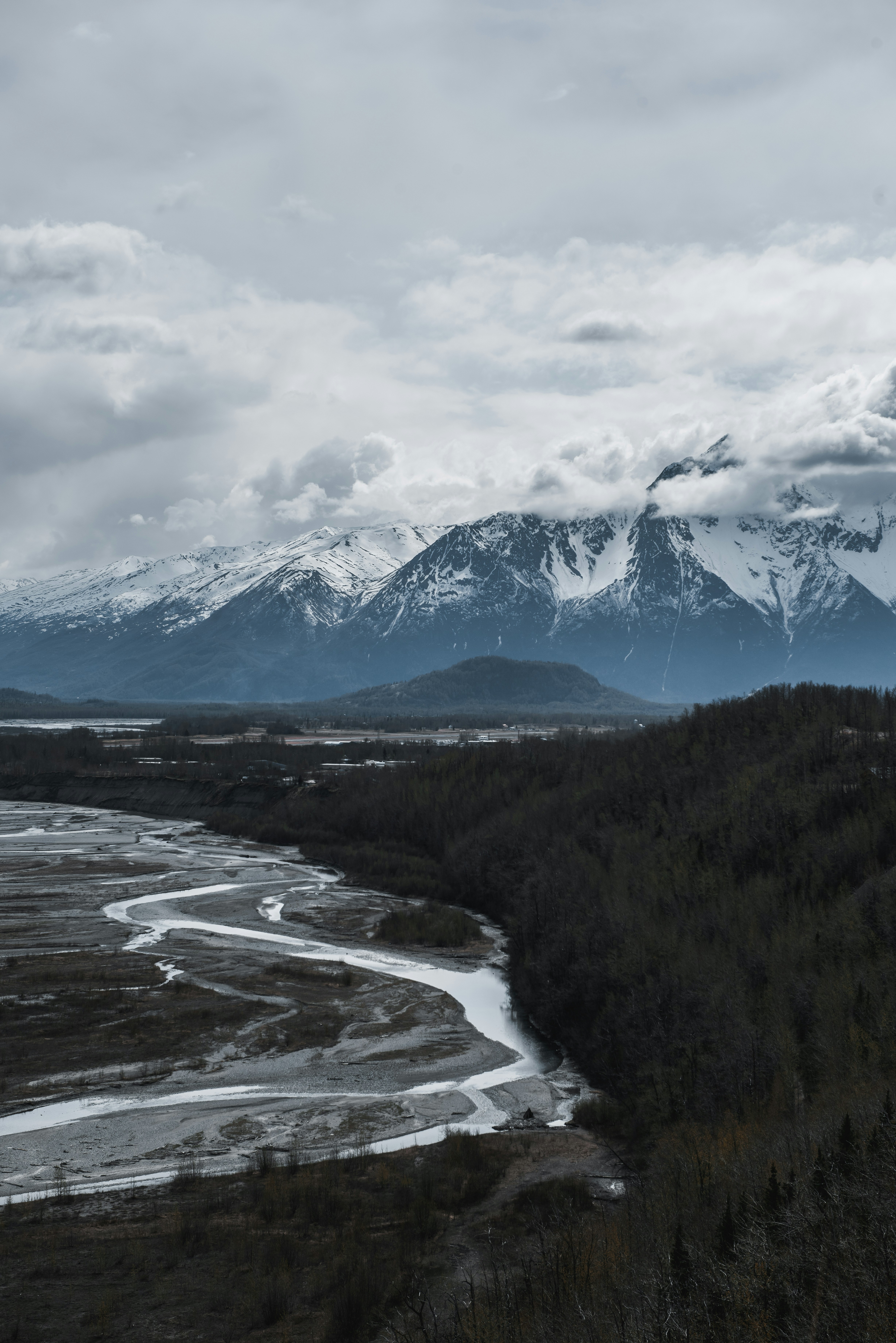 A river running through a lush green forest