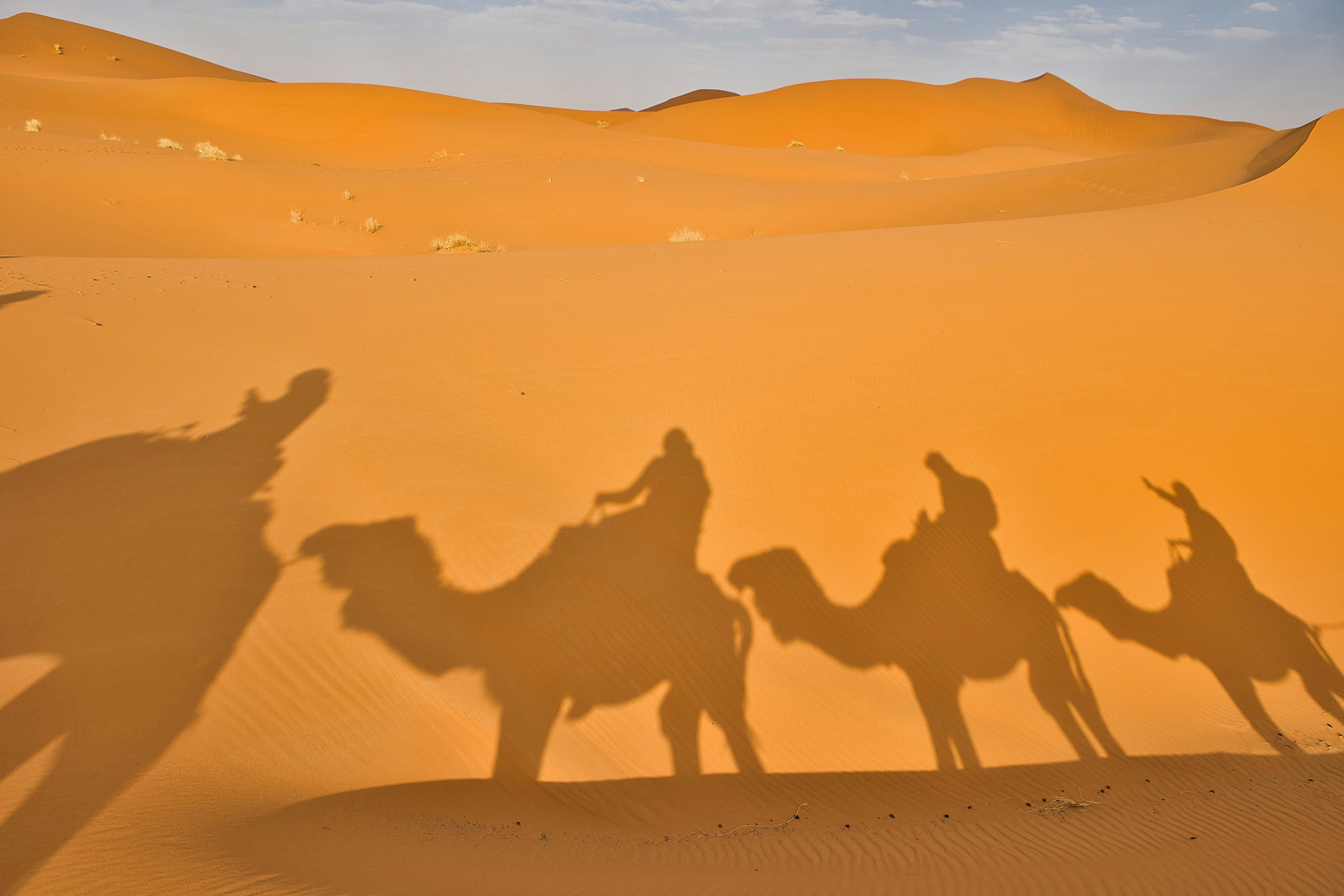 A group of people riding camels across a desert