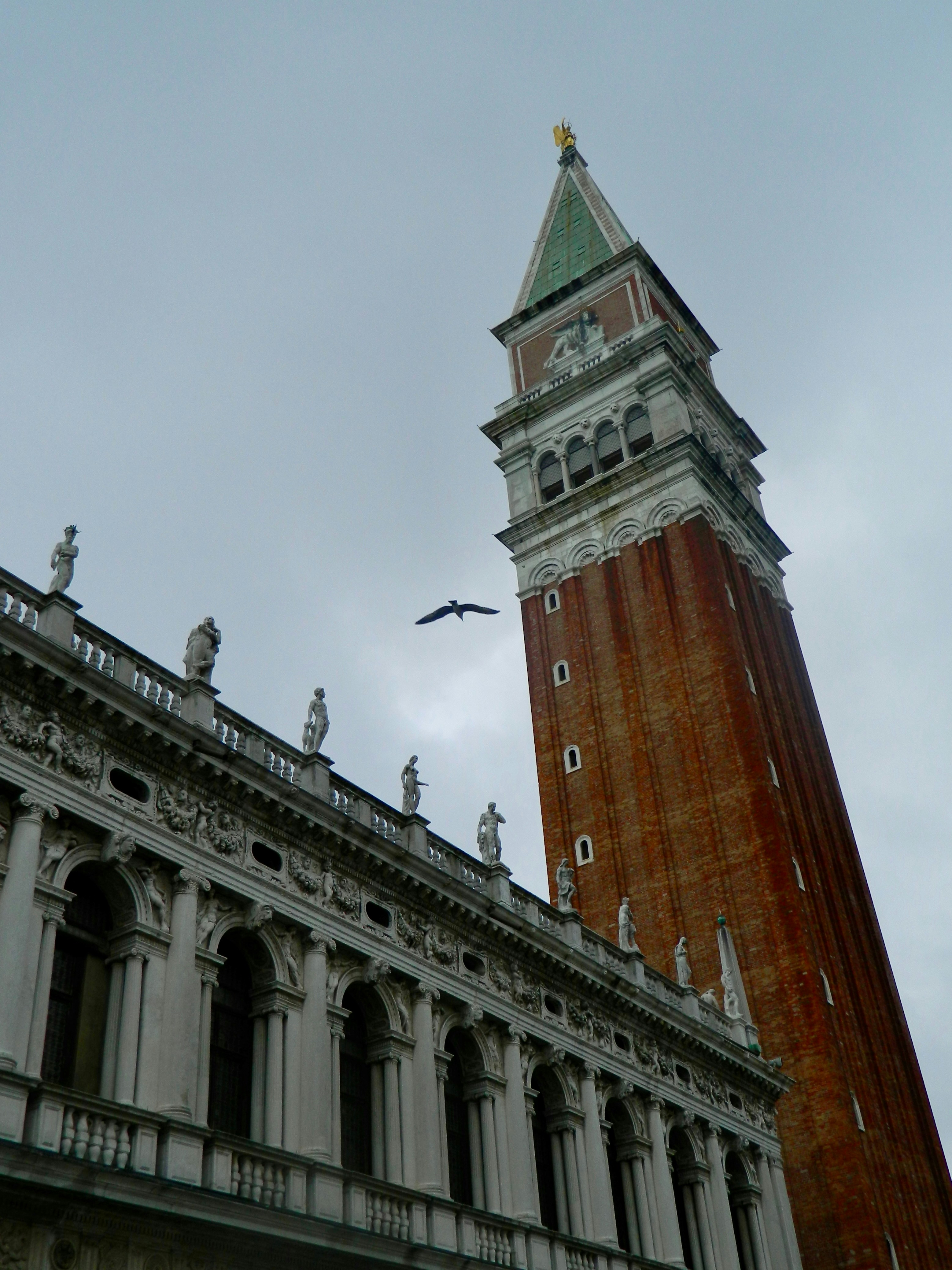 Photo by ezgideliklitas