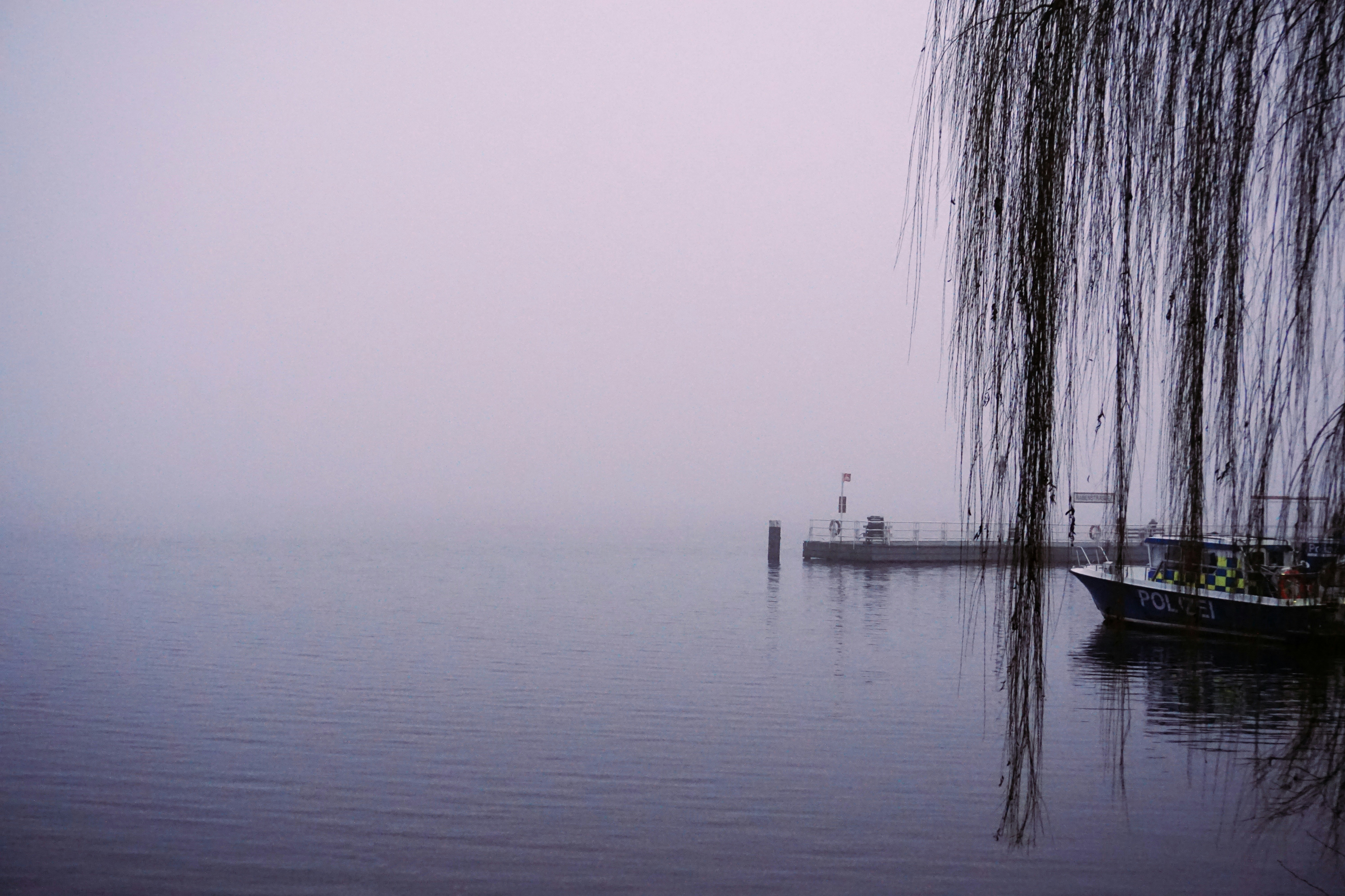 Ein veröffentlichtes Foto