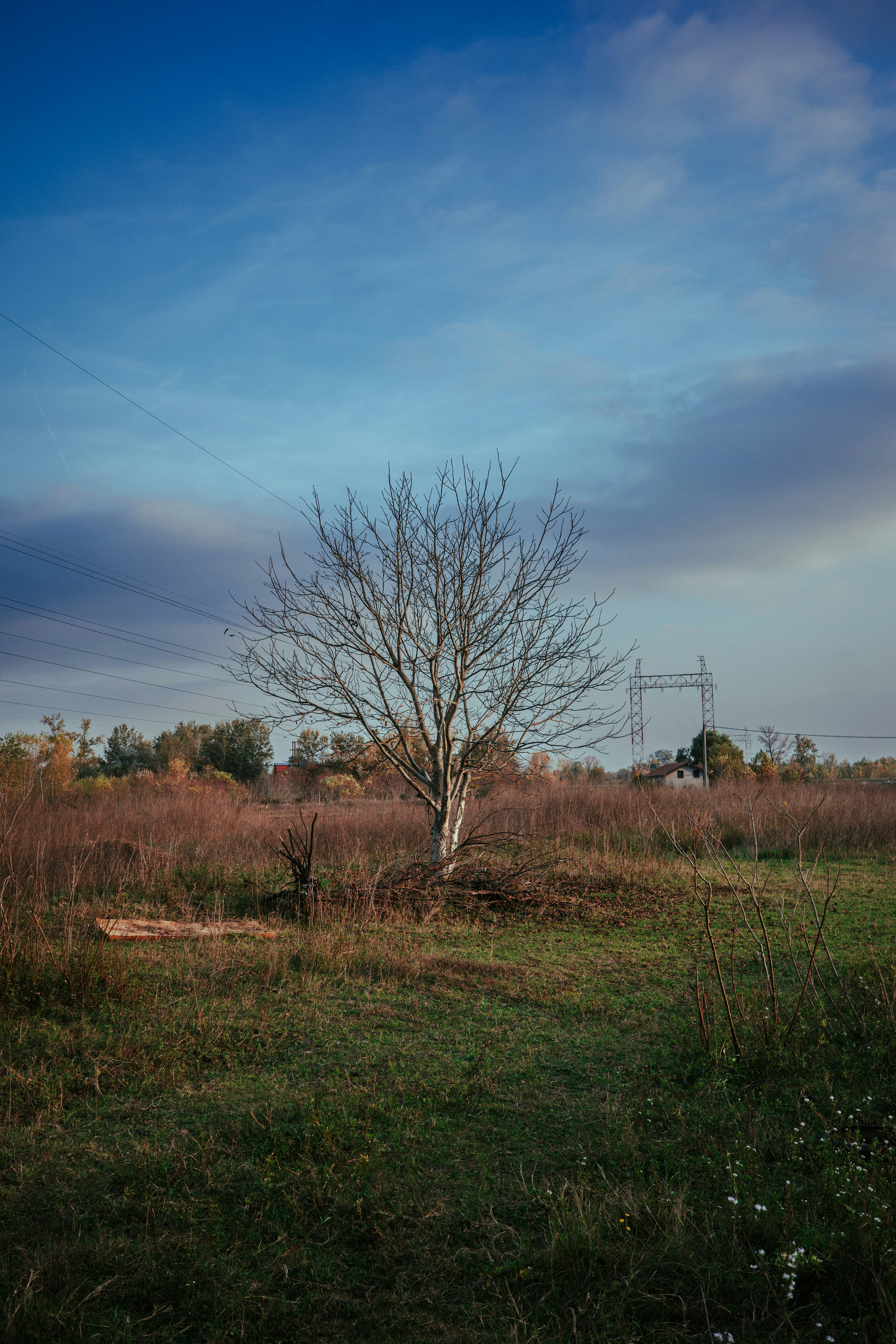 Photo by dmitrii_filatov
