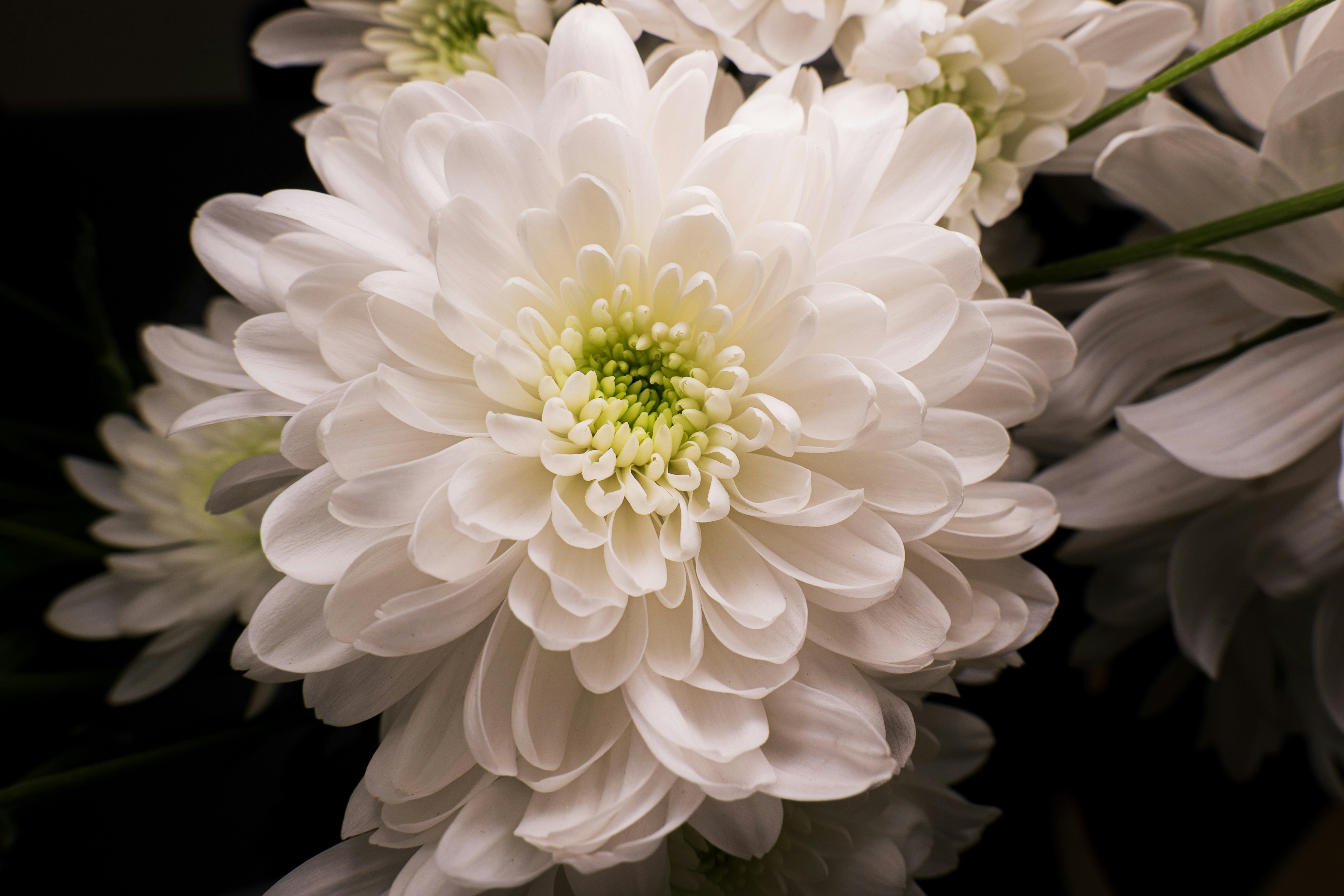 Photo by lukasparnican