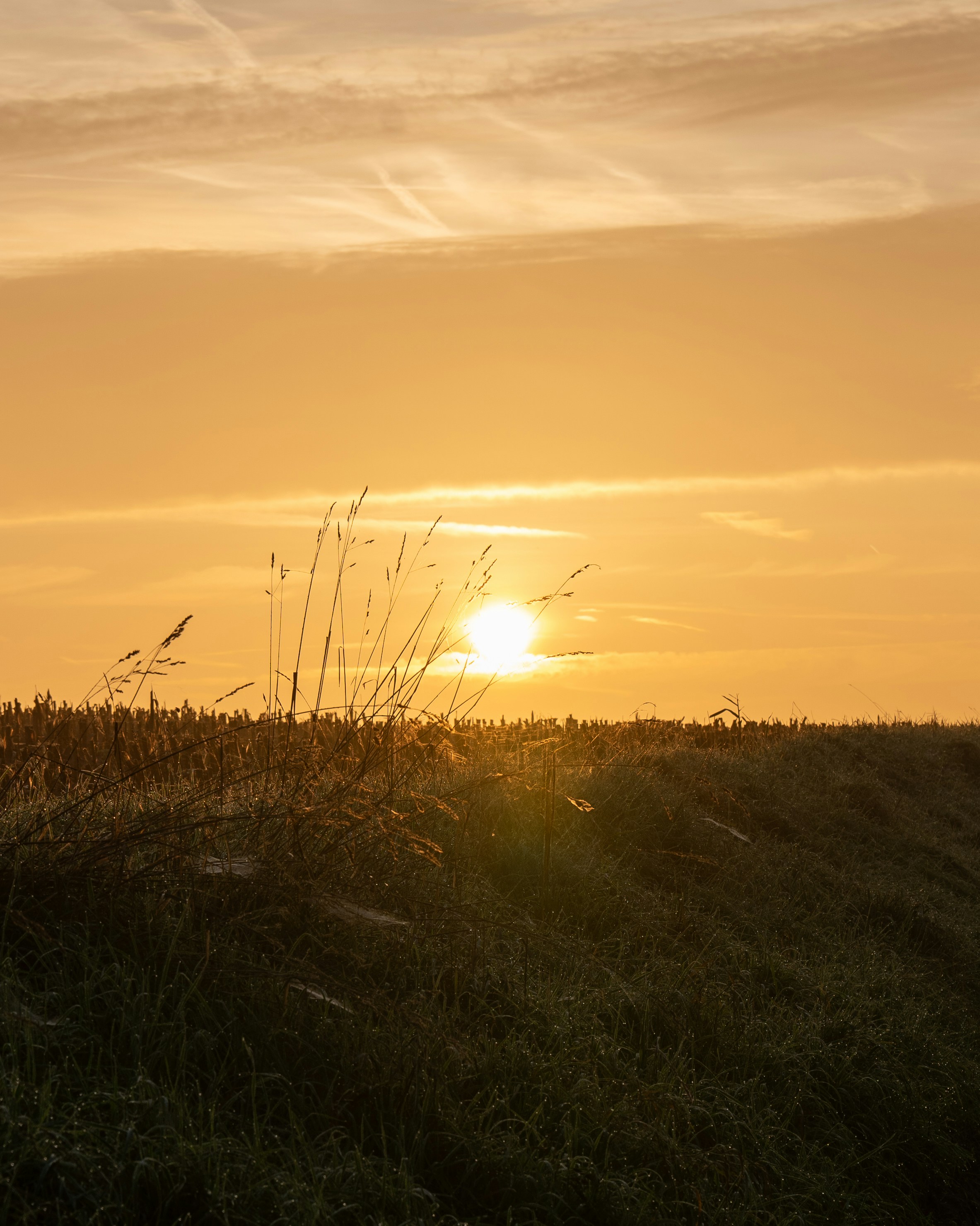 Photo by bangscreative