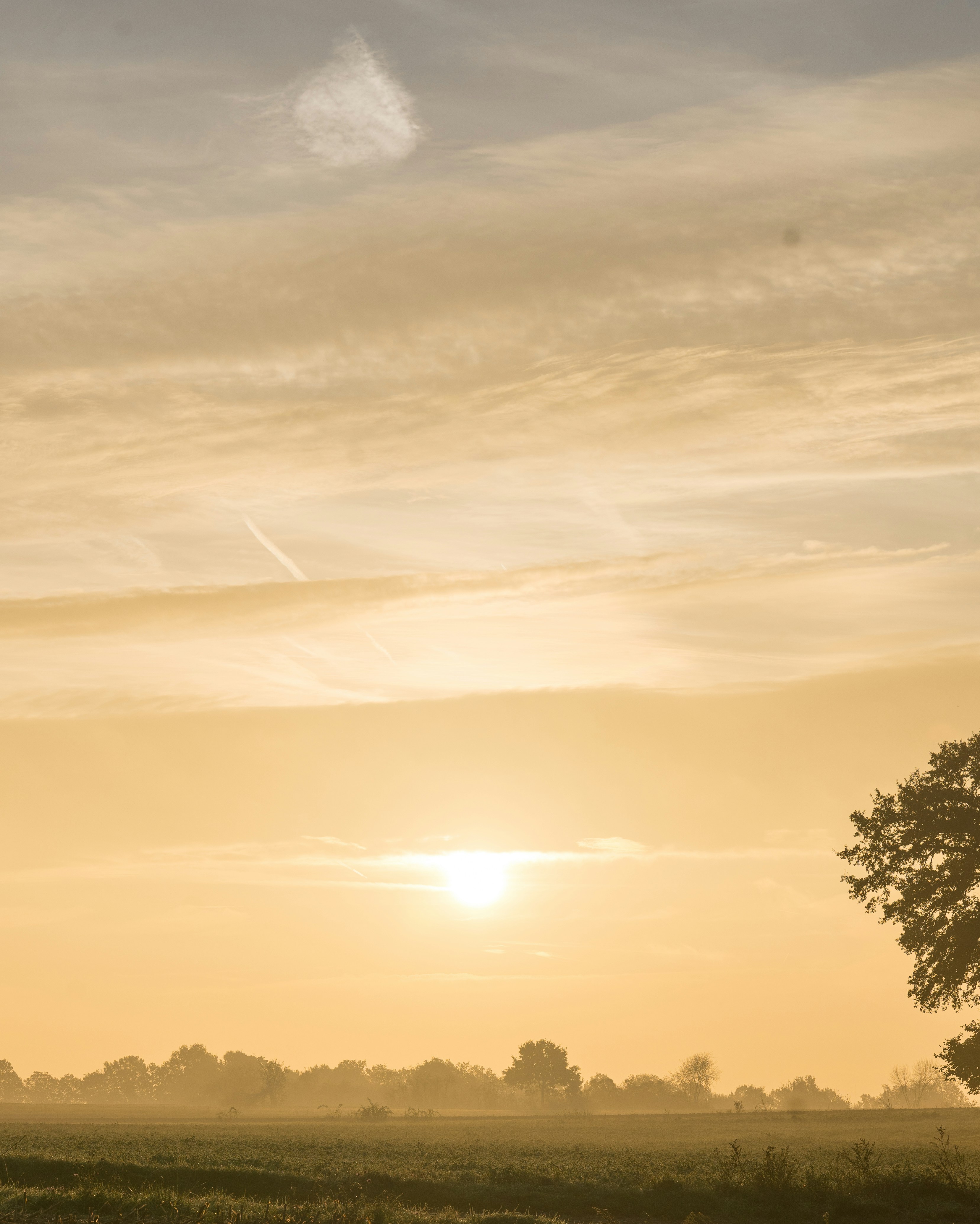 Photo by bangscreative