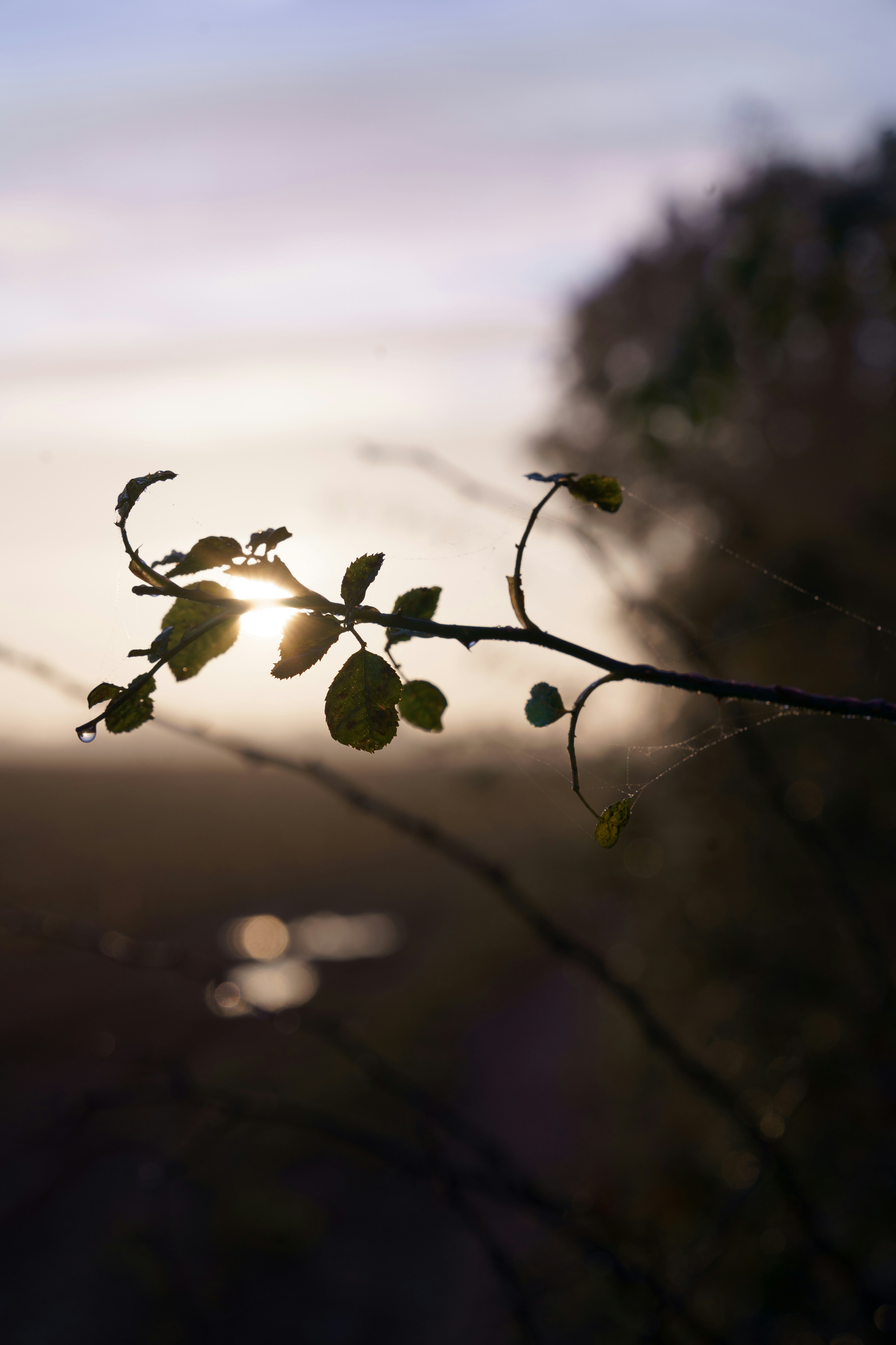 Photo by bangscreative