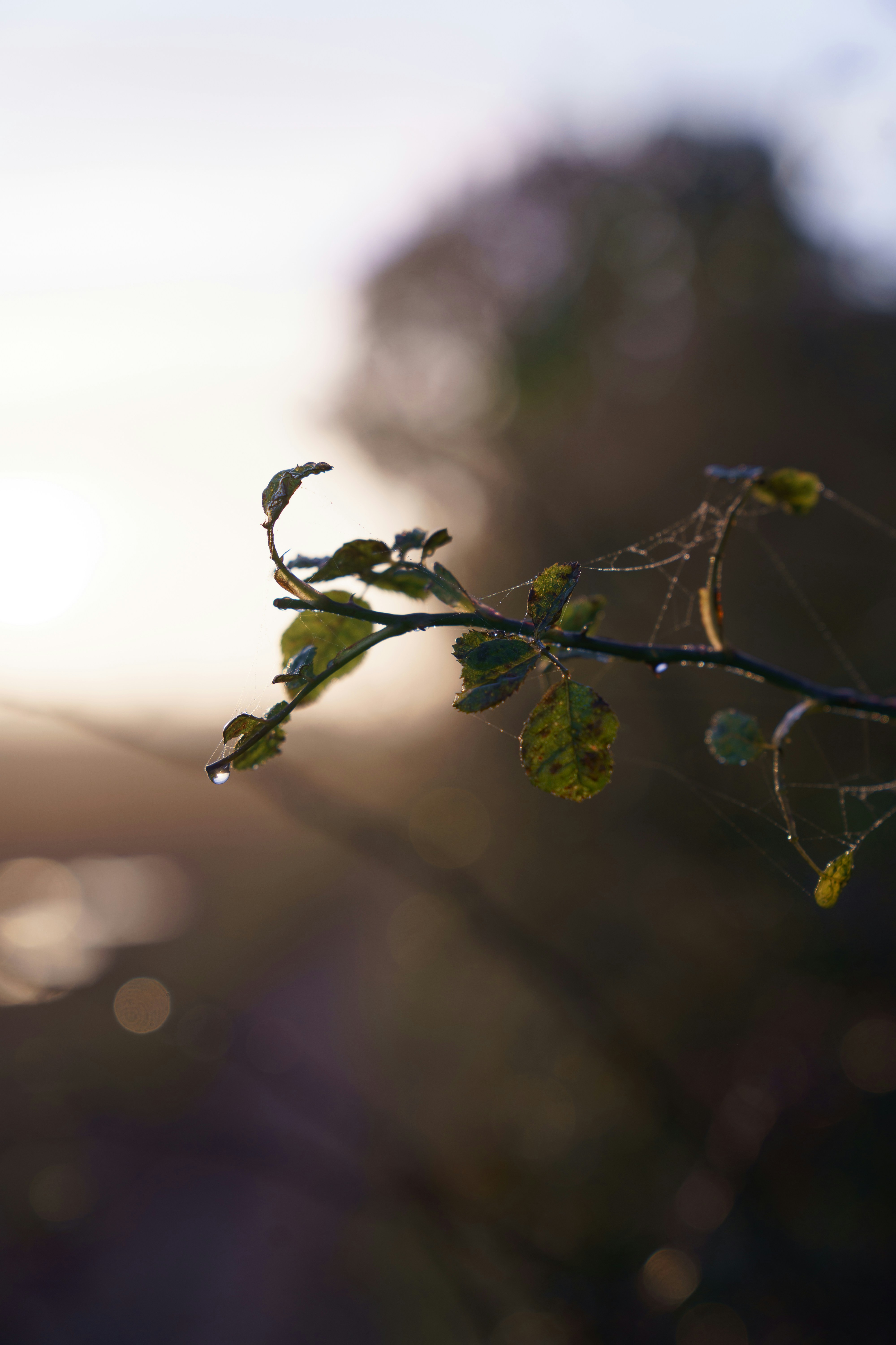 Photo by bangscreative