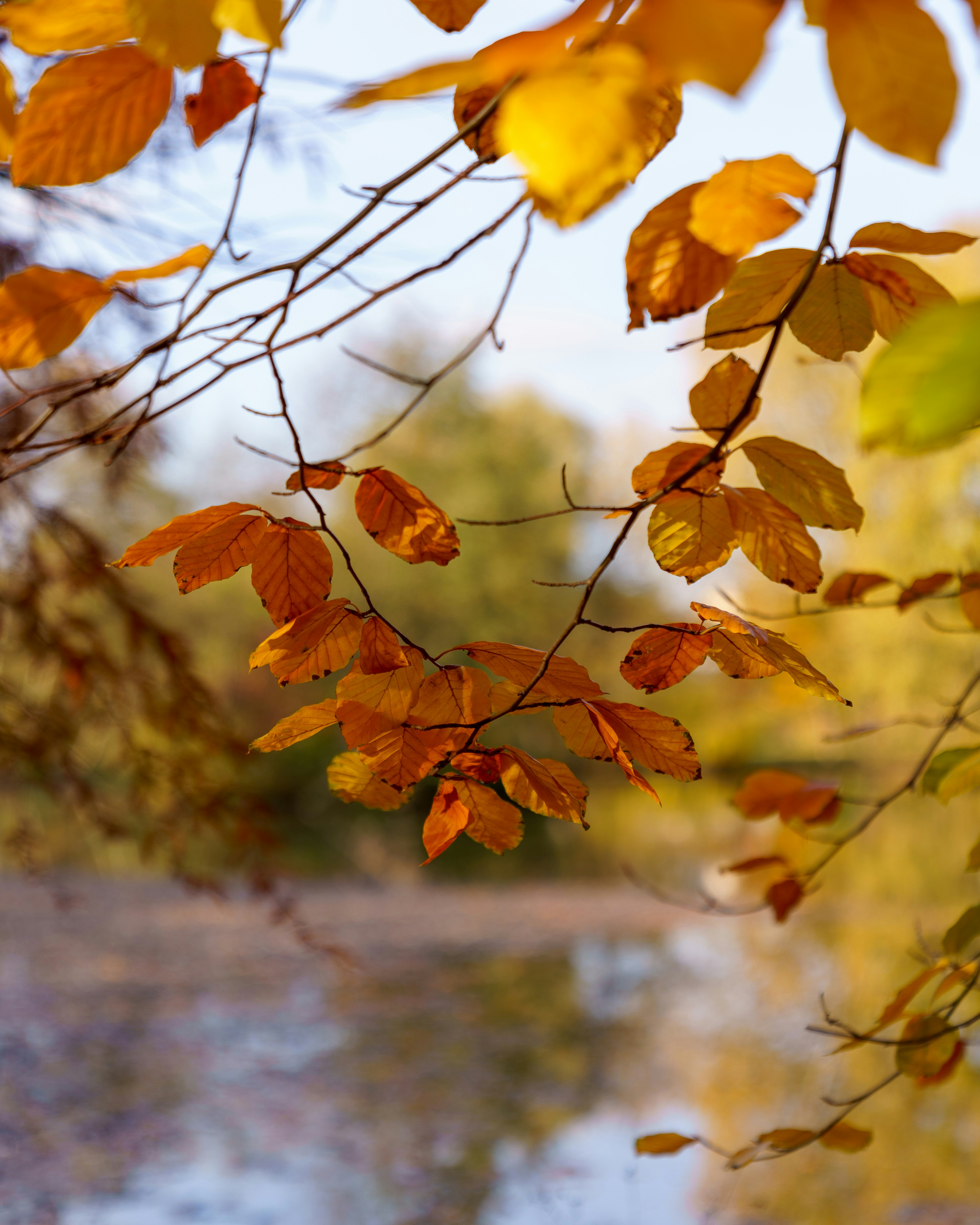 Photo by bangscreative