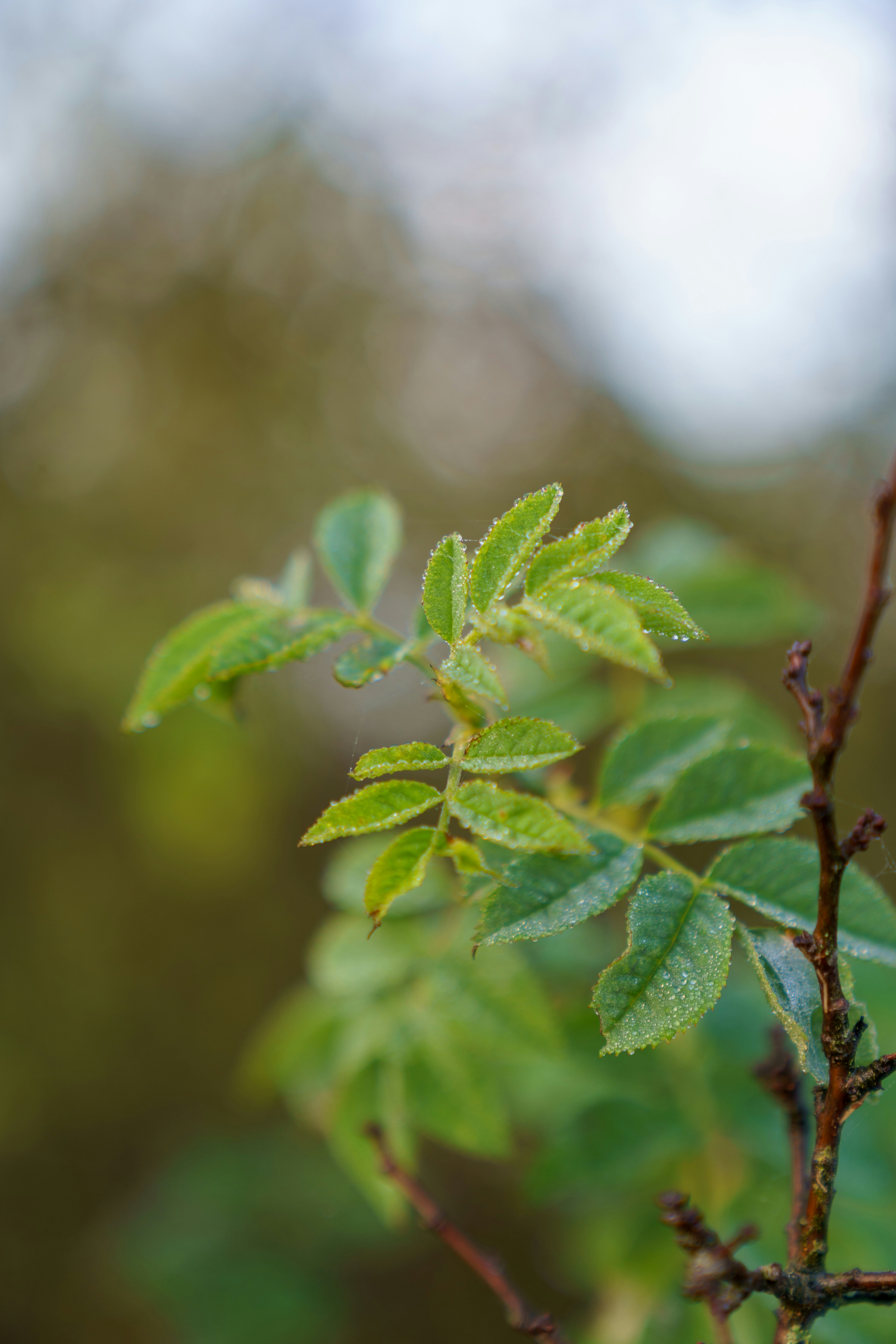 Photo by bangscreative