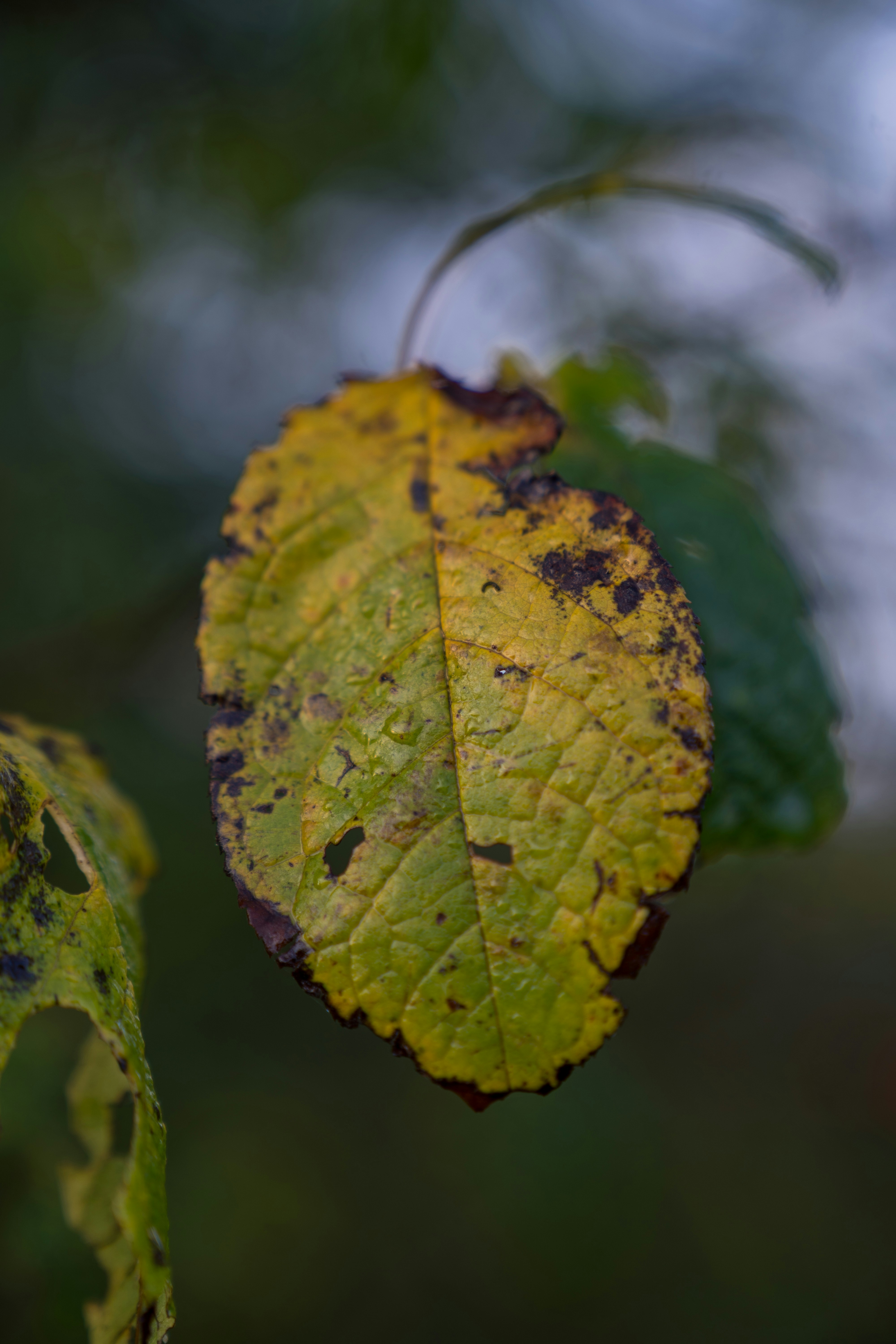 Photo by bangscreative