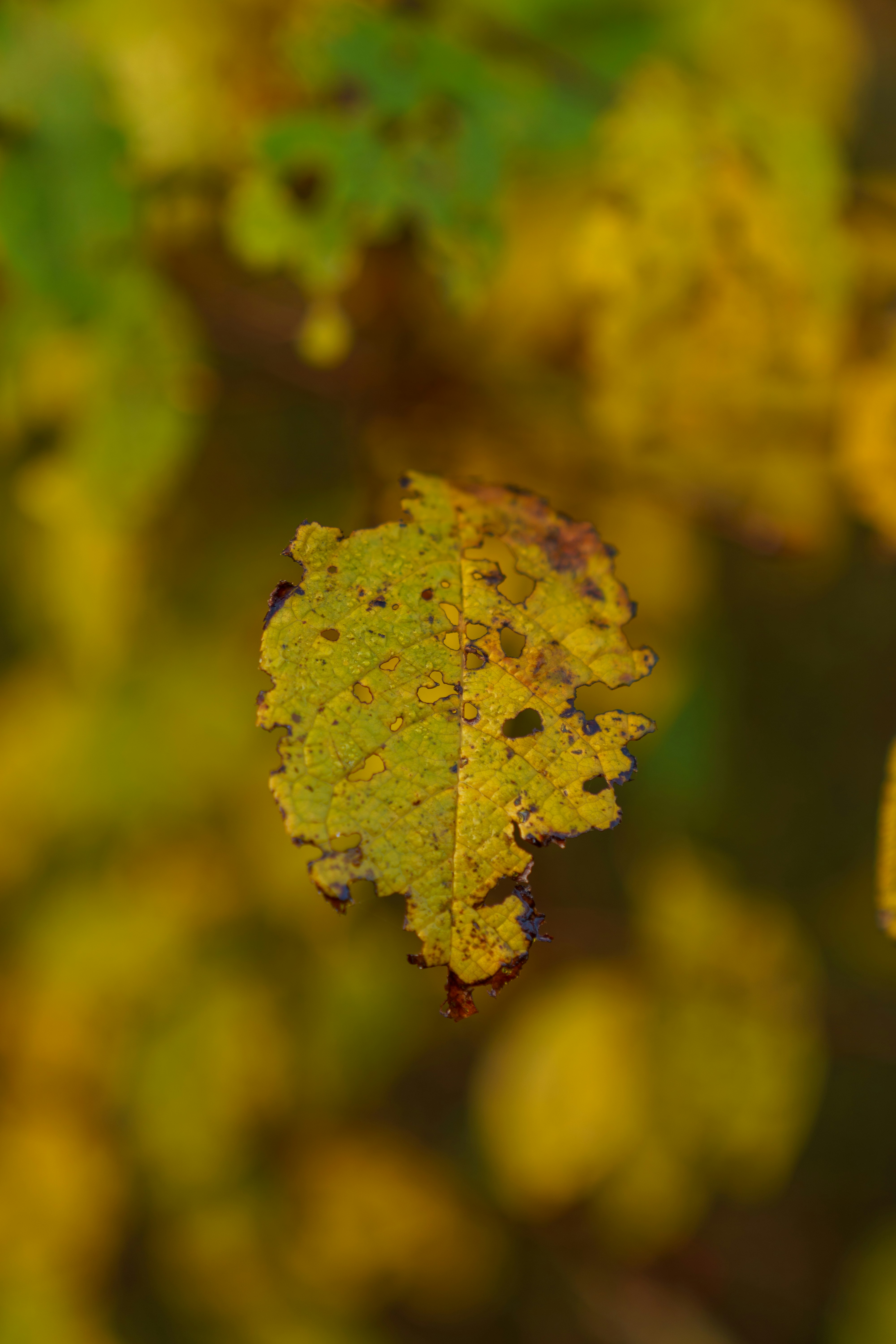 Photo by bangscreative