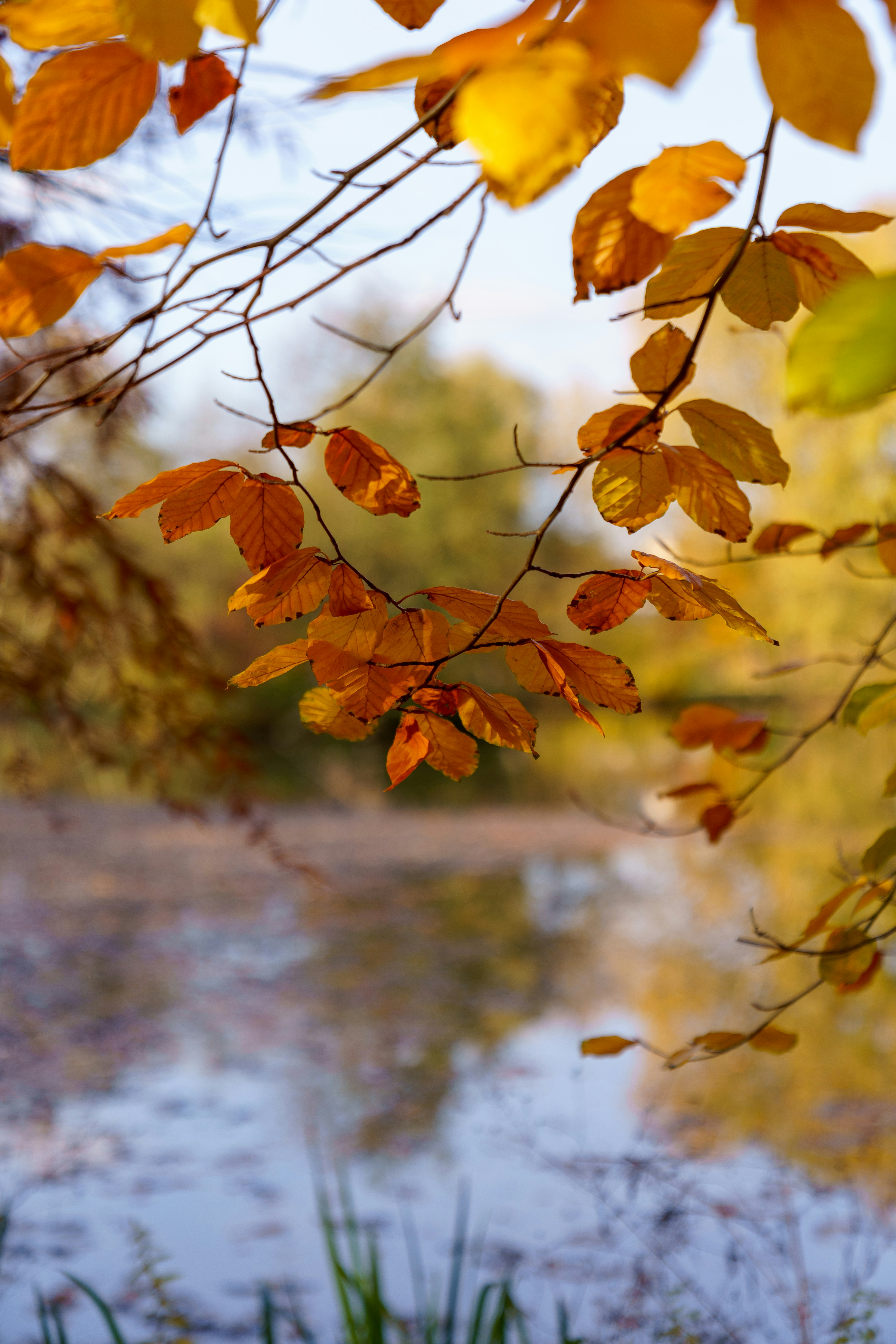 Photo by bangscreative