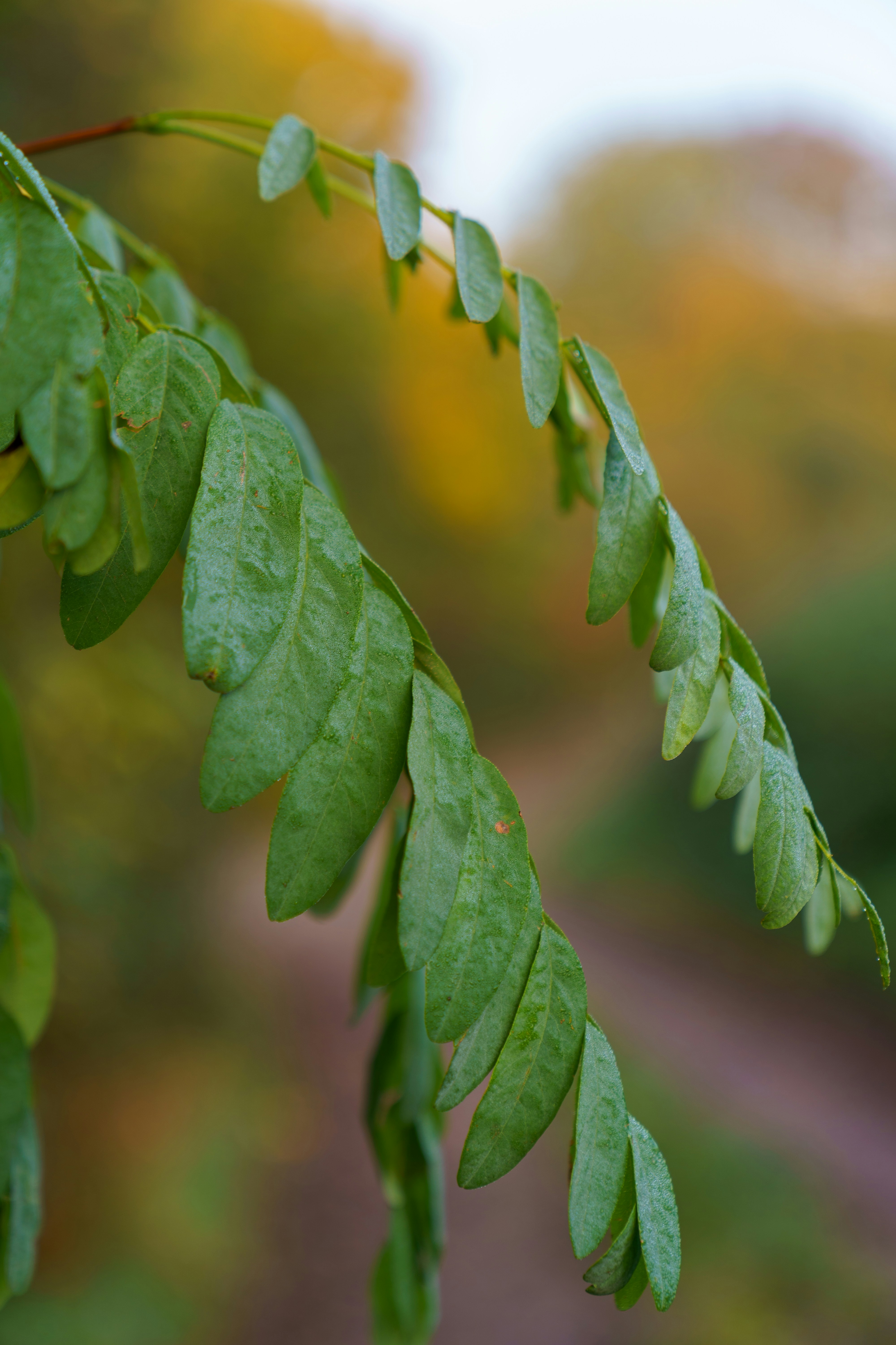 Photo by bangscreative