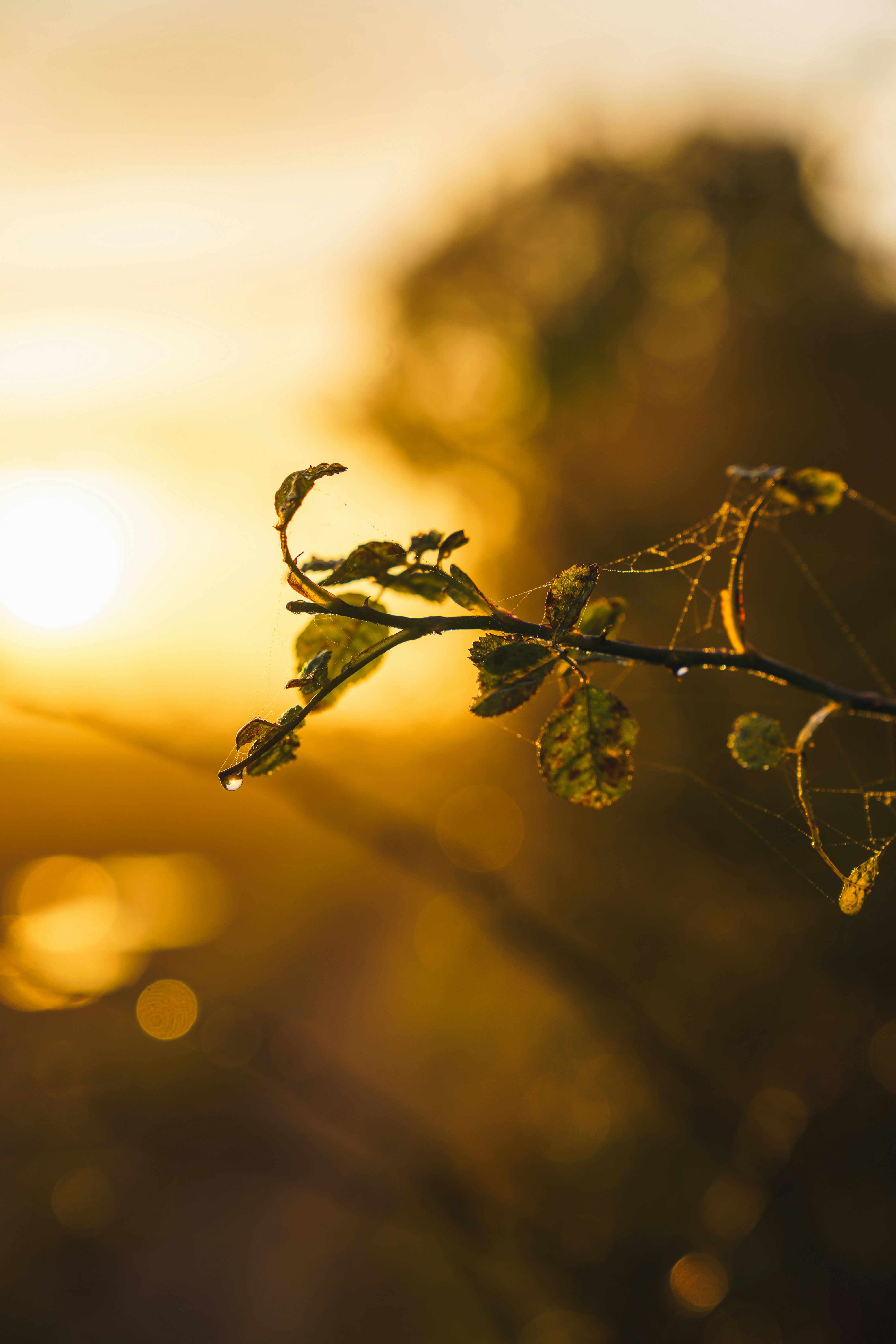 Photo by bangscreative