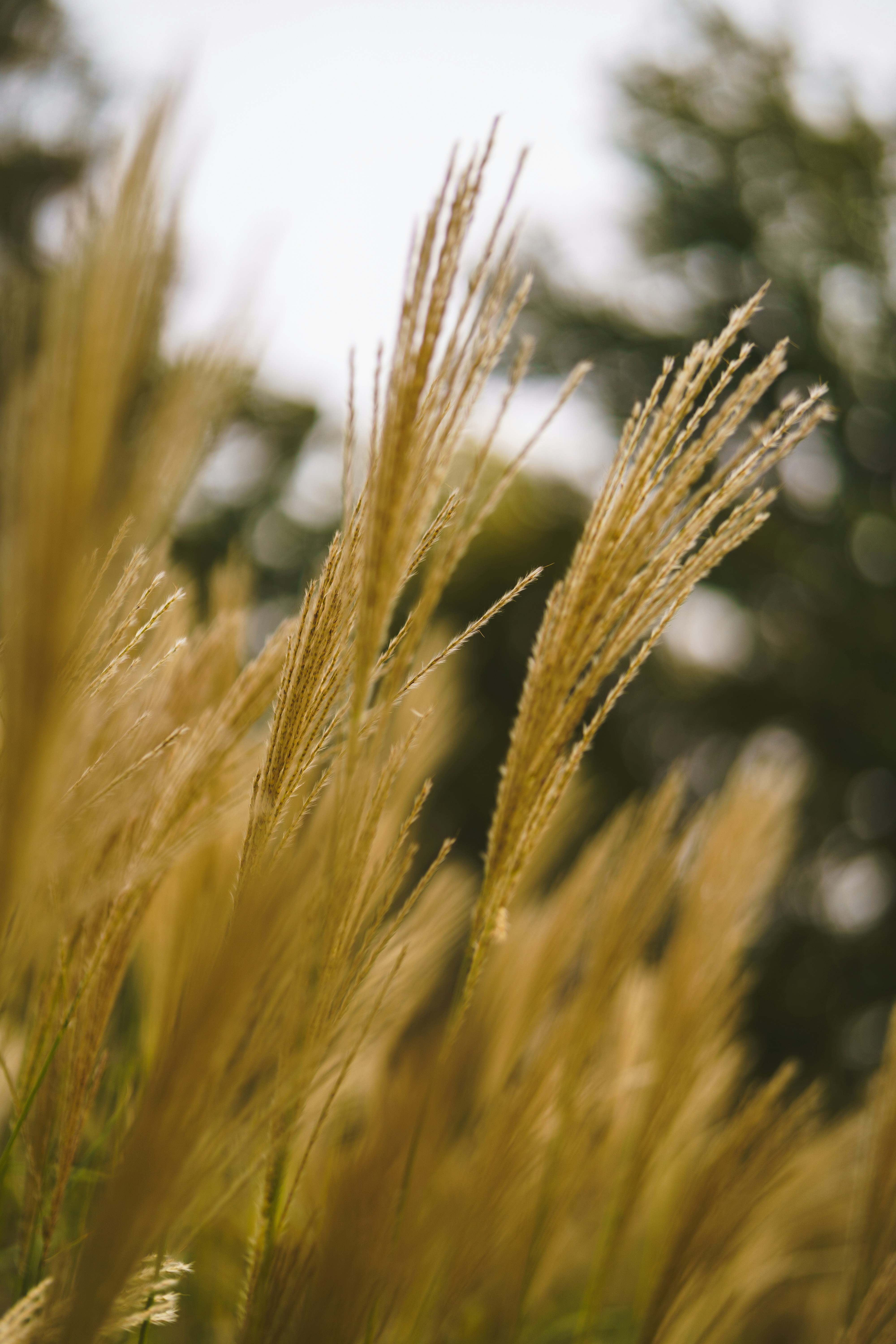 Photo by bangscreative