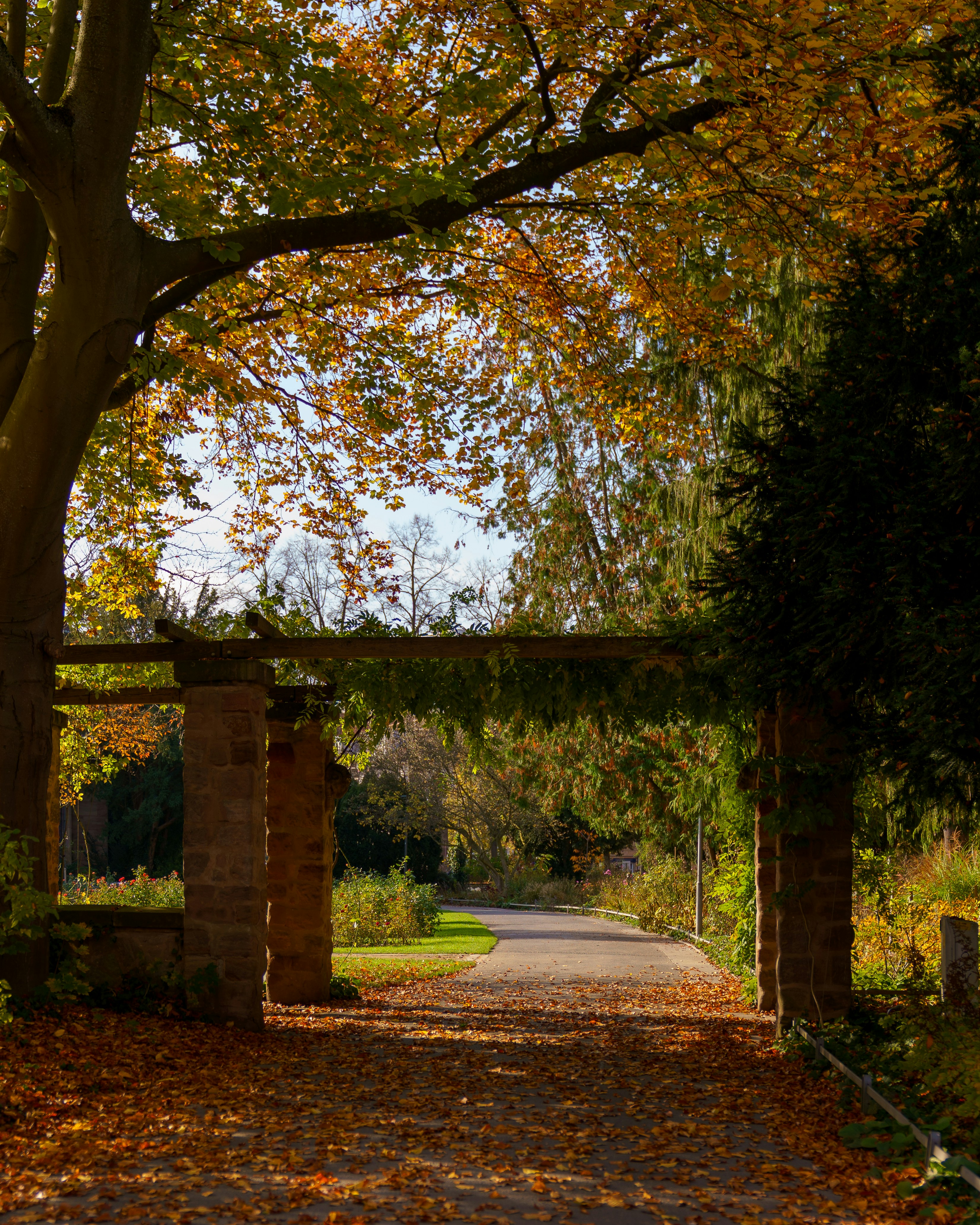 Photo by bangscreative