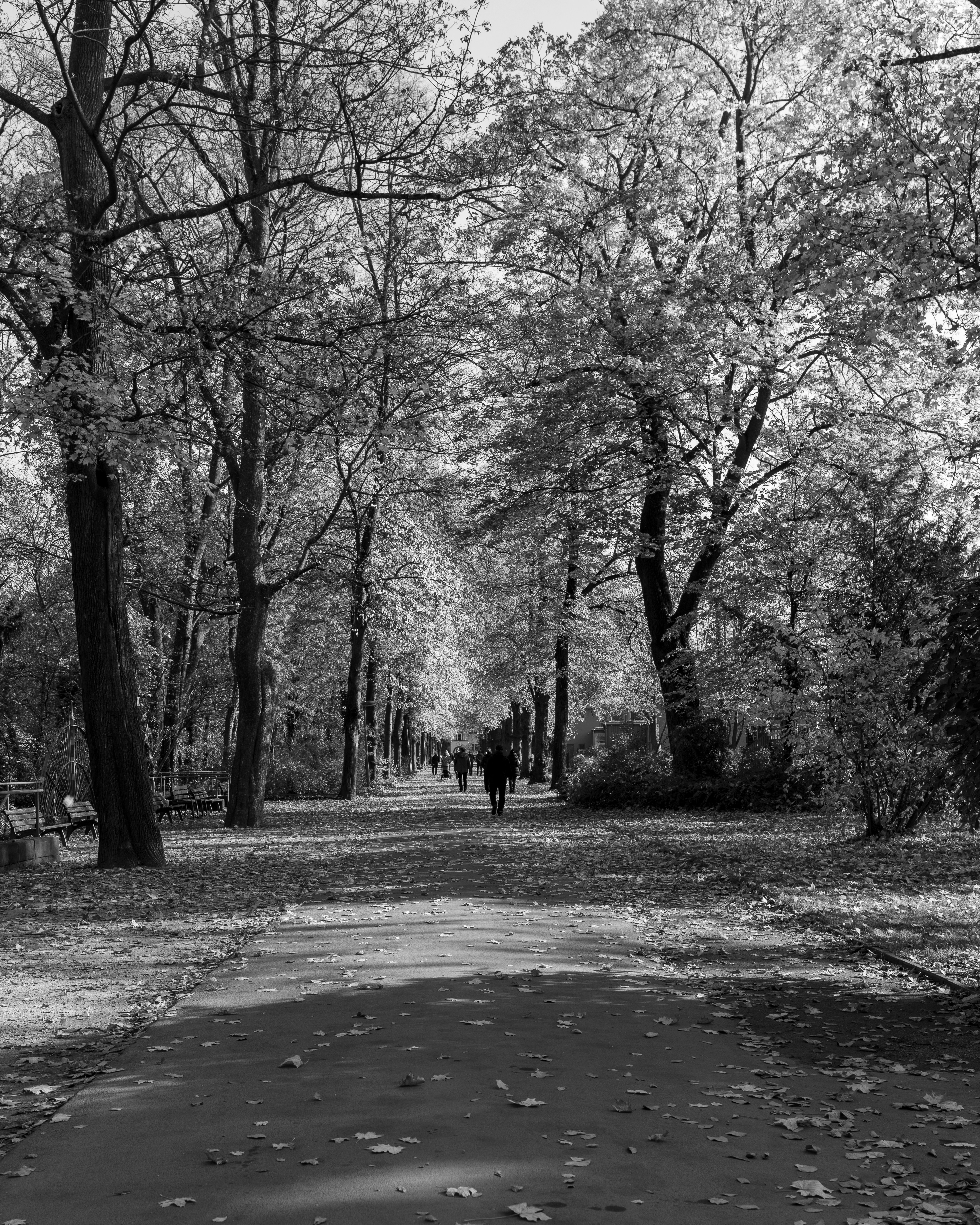 Photo by bangscreative