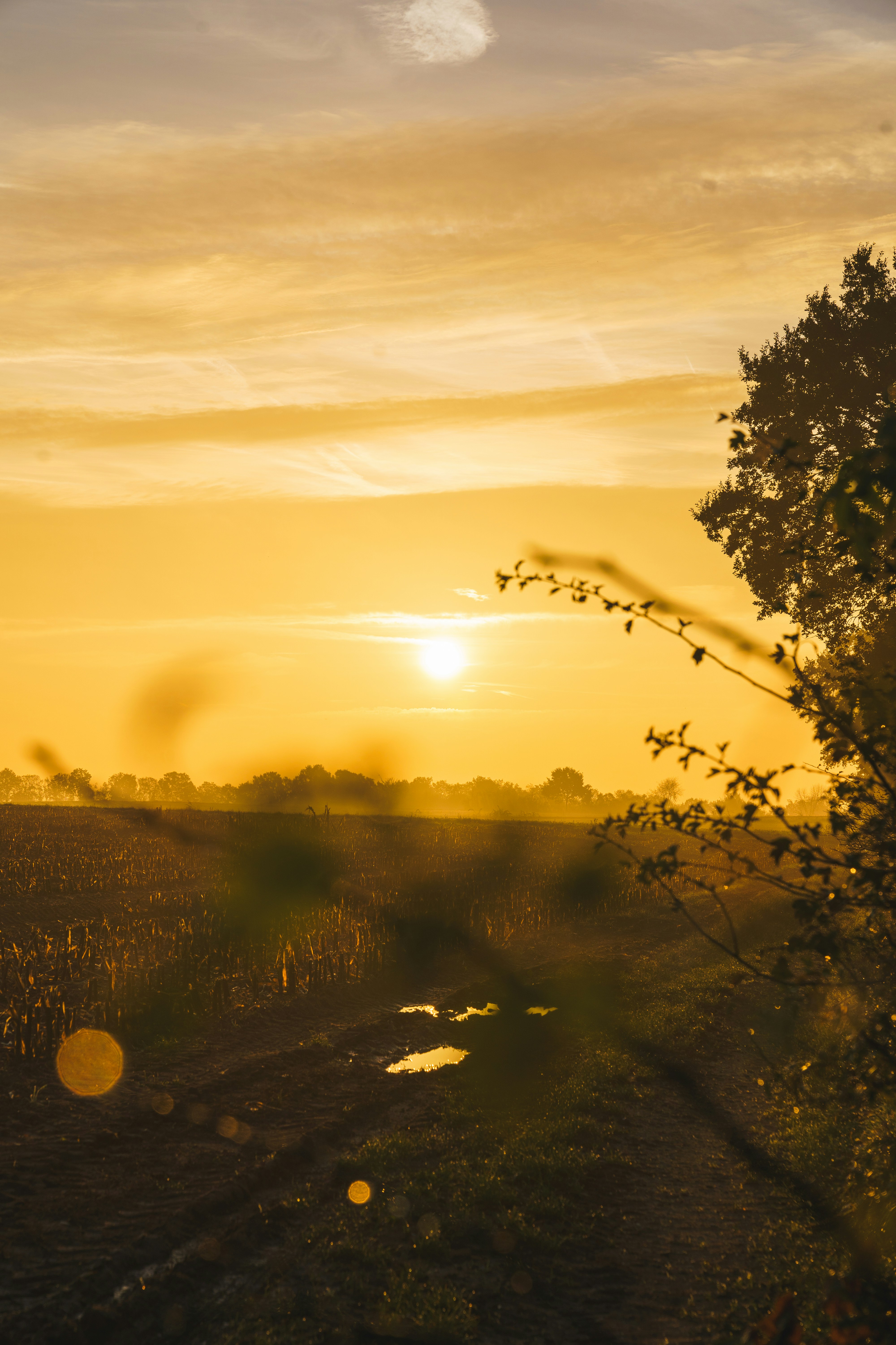 Photo by bangscreative