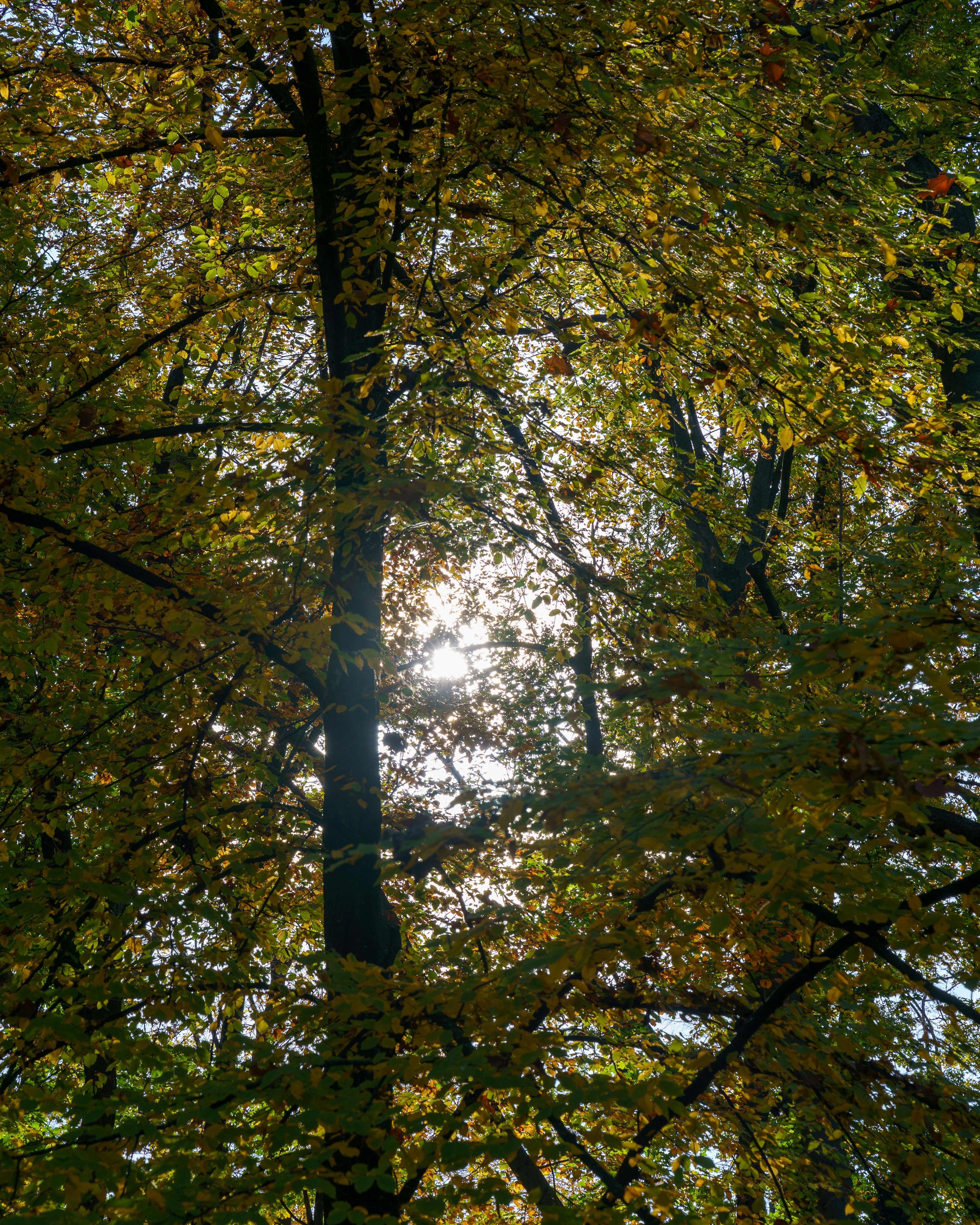 Photo by bangscreative