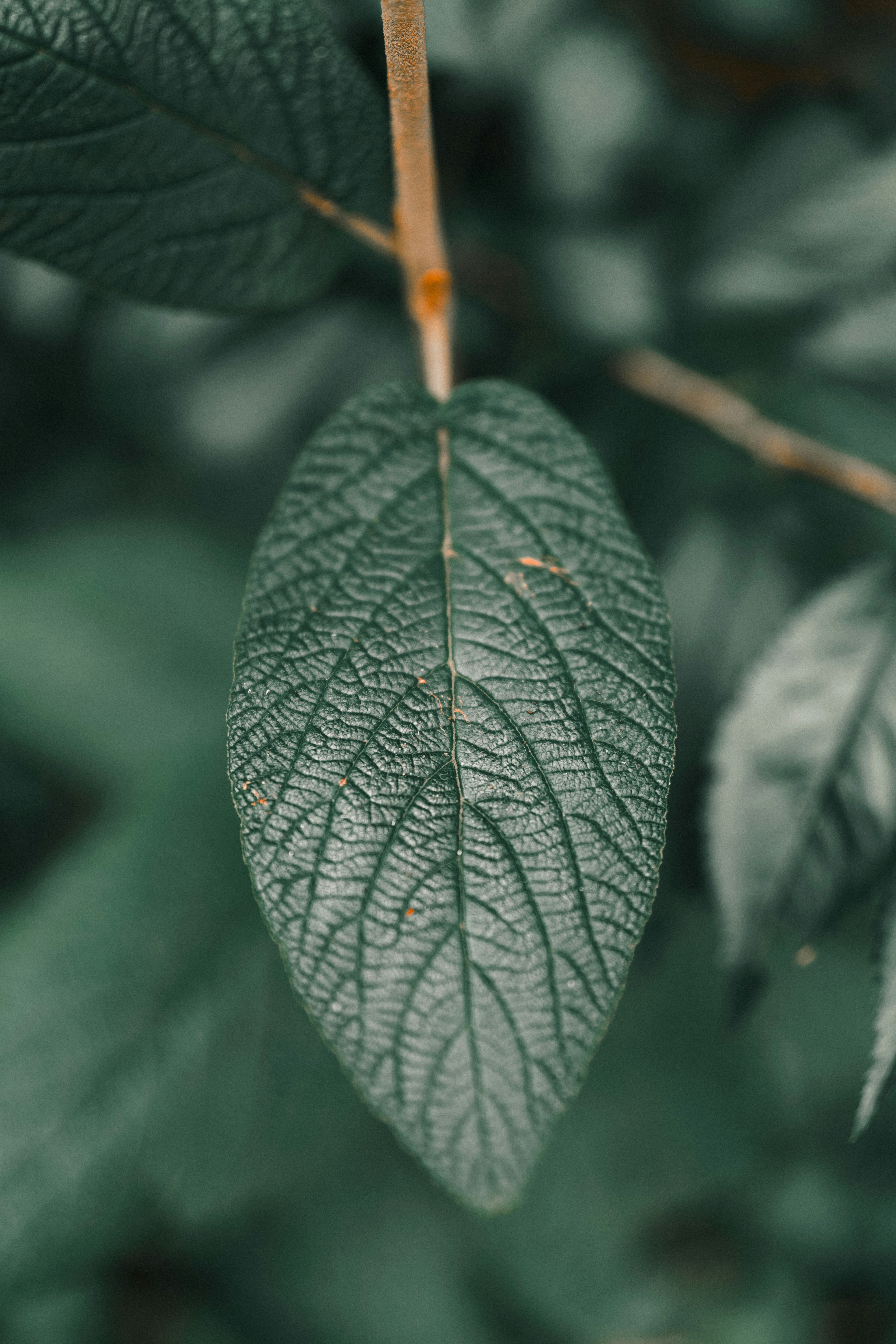 Photo by bangscreative