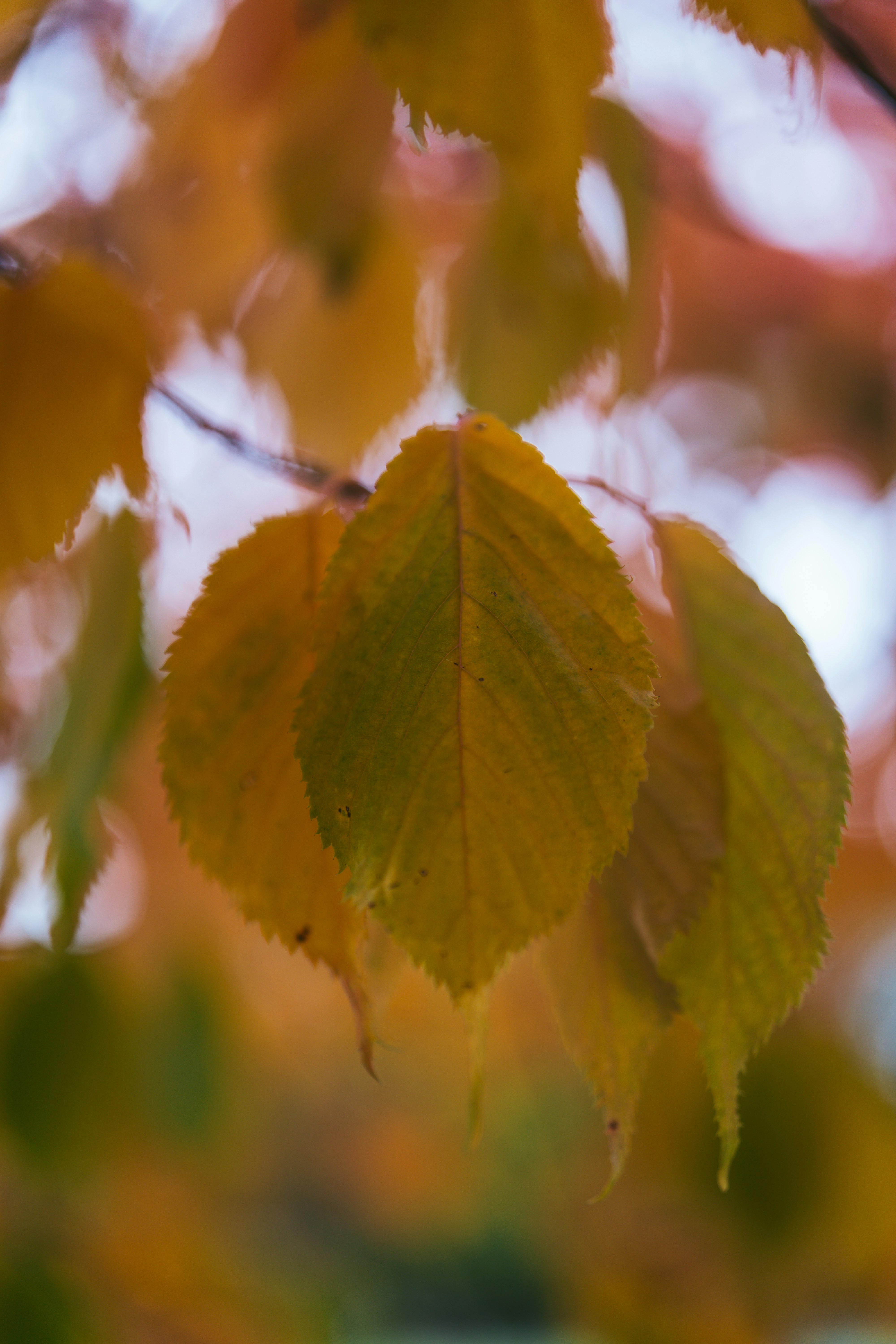 Photo by bangscreative