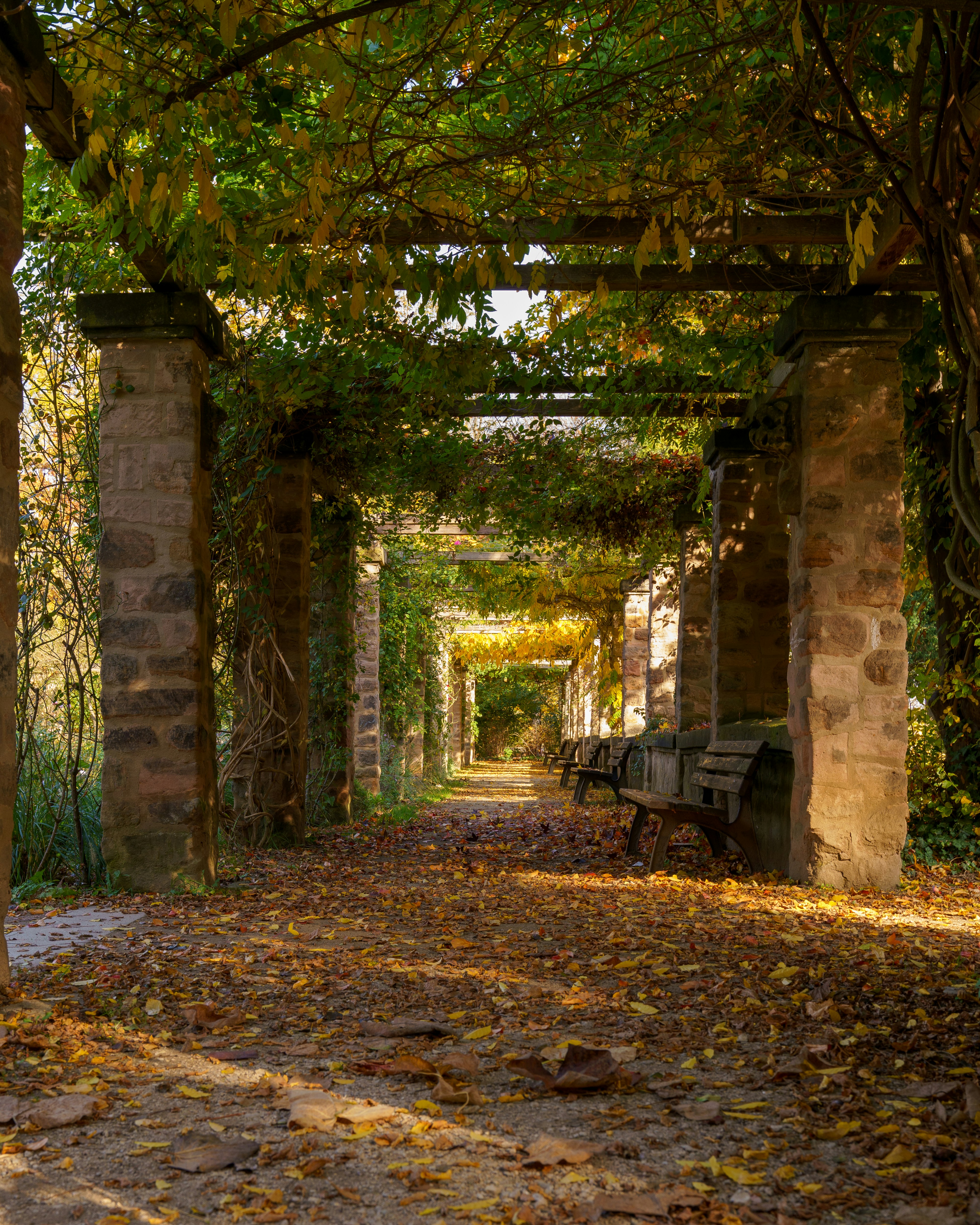 Photo by bangscreative