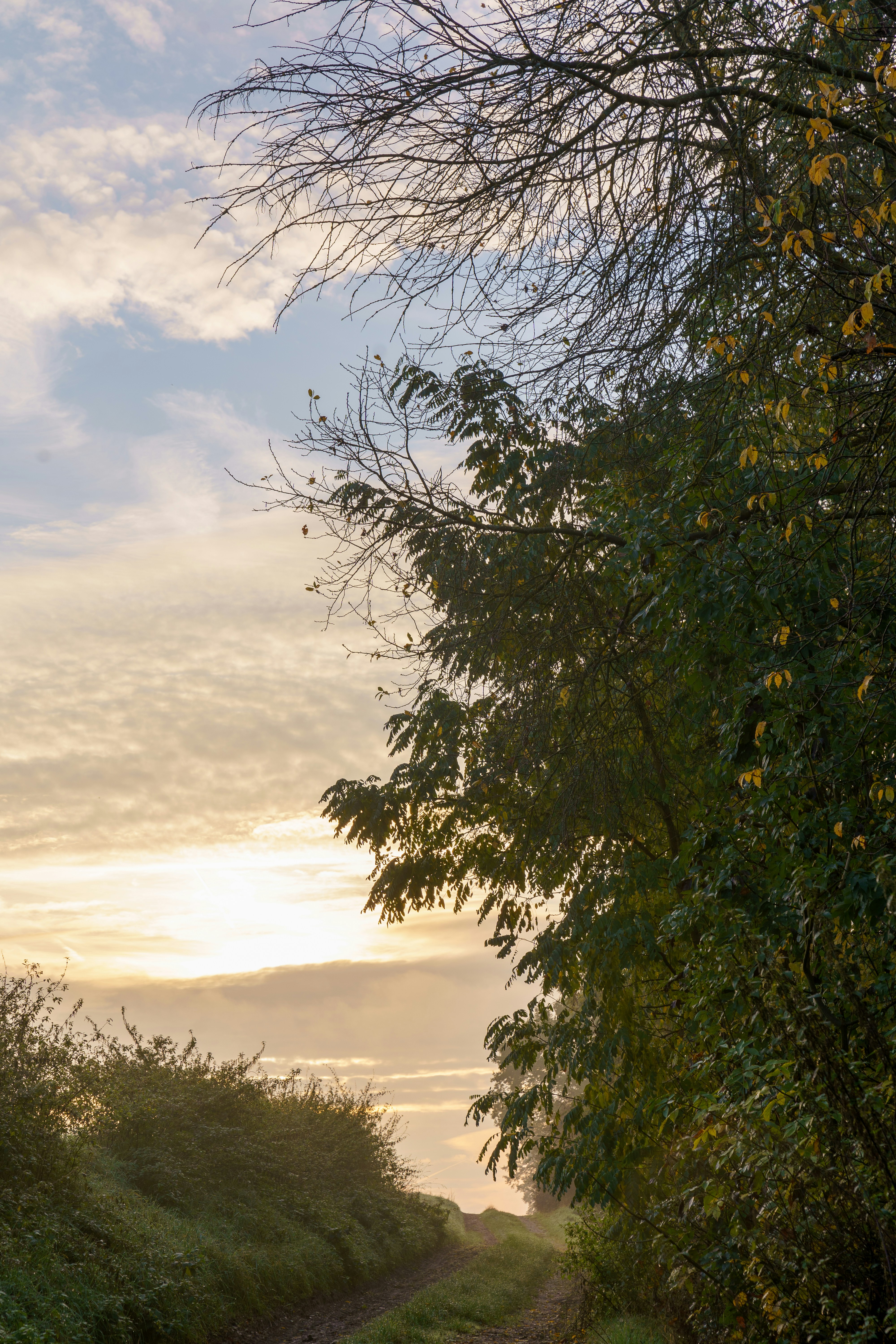 Photo by bangscreative