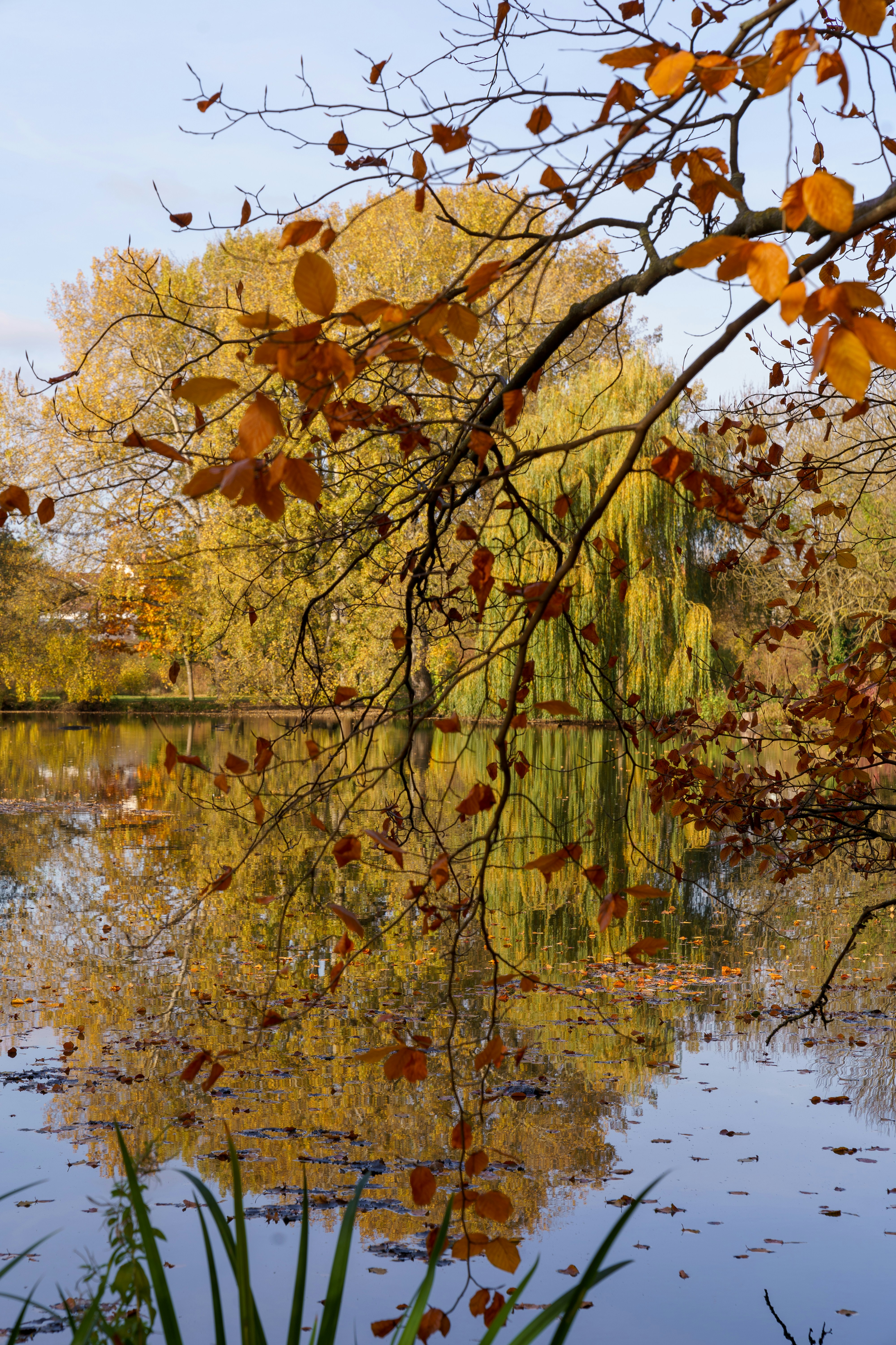 Photo by bangscreative