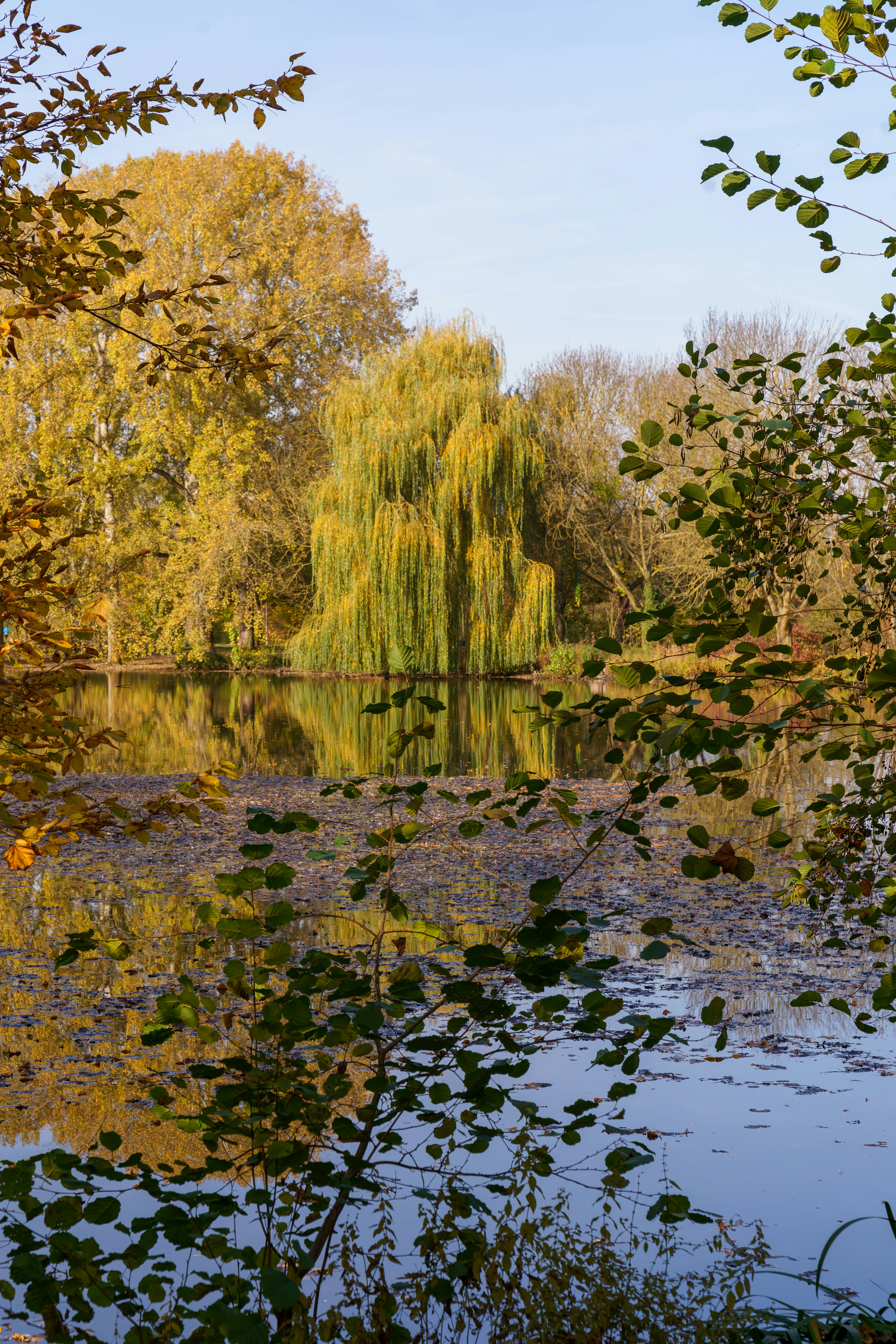 Photo by bangscreative