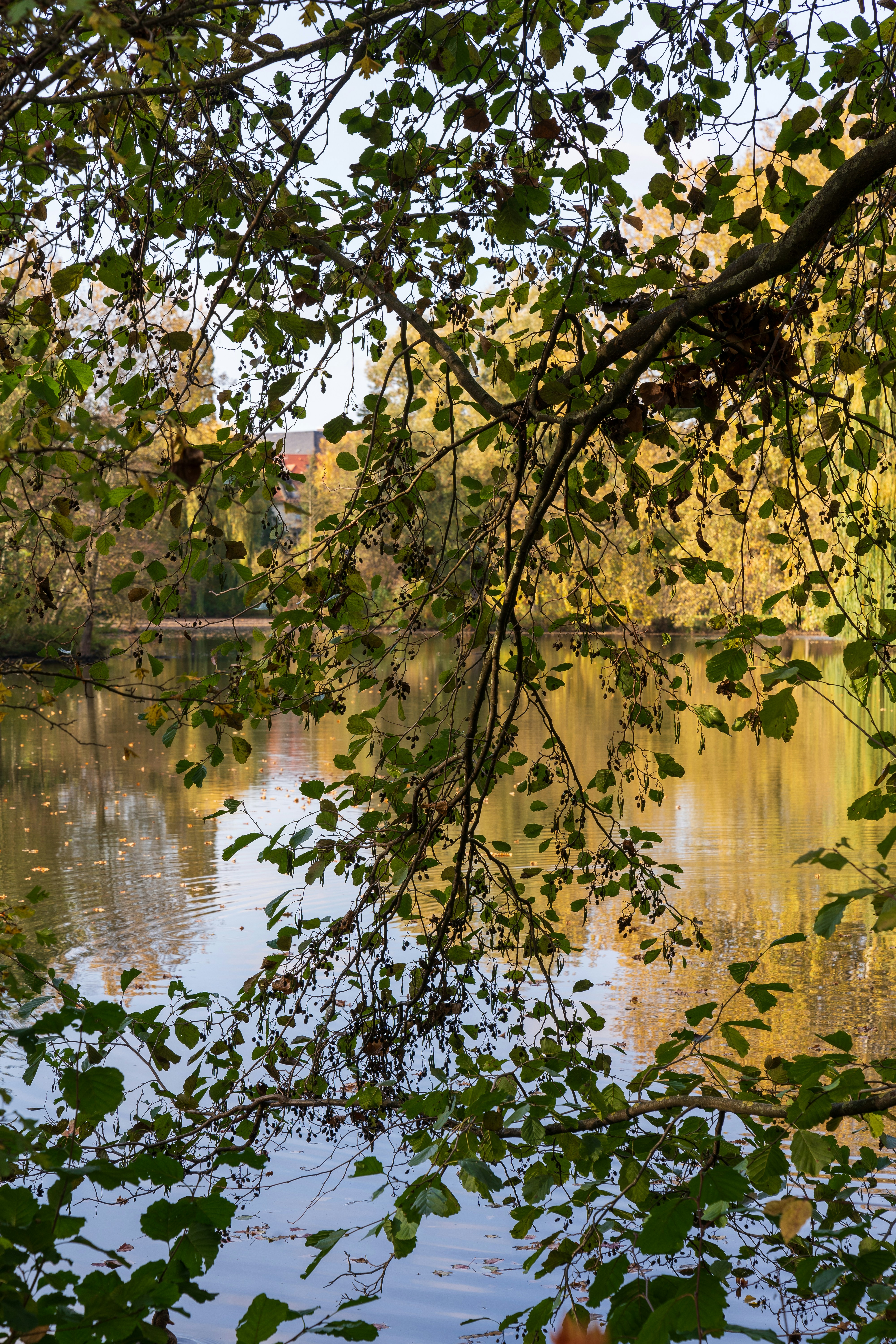 Photo by bangscreative