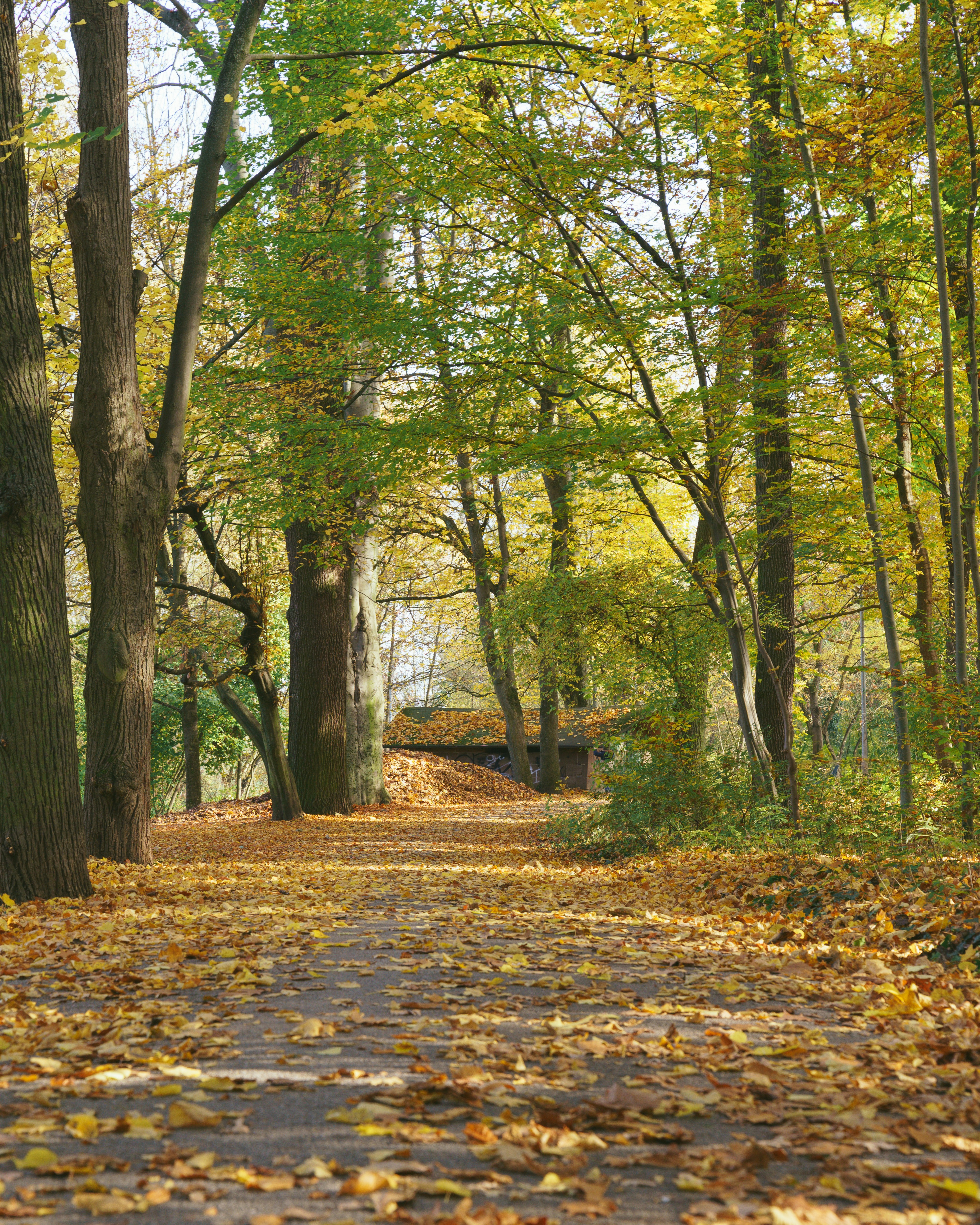 Photo by bangscreative