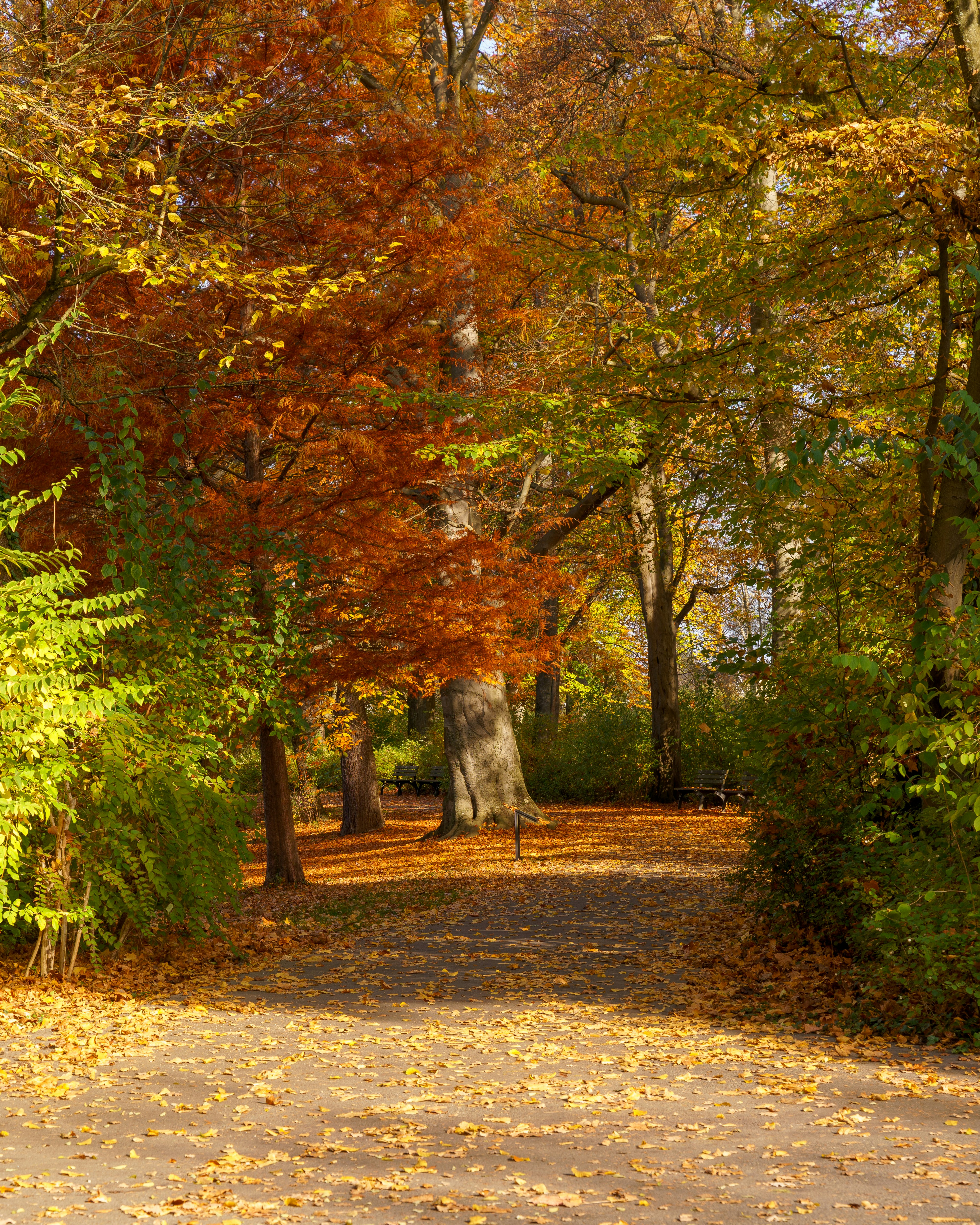 Photo by bangscreative