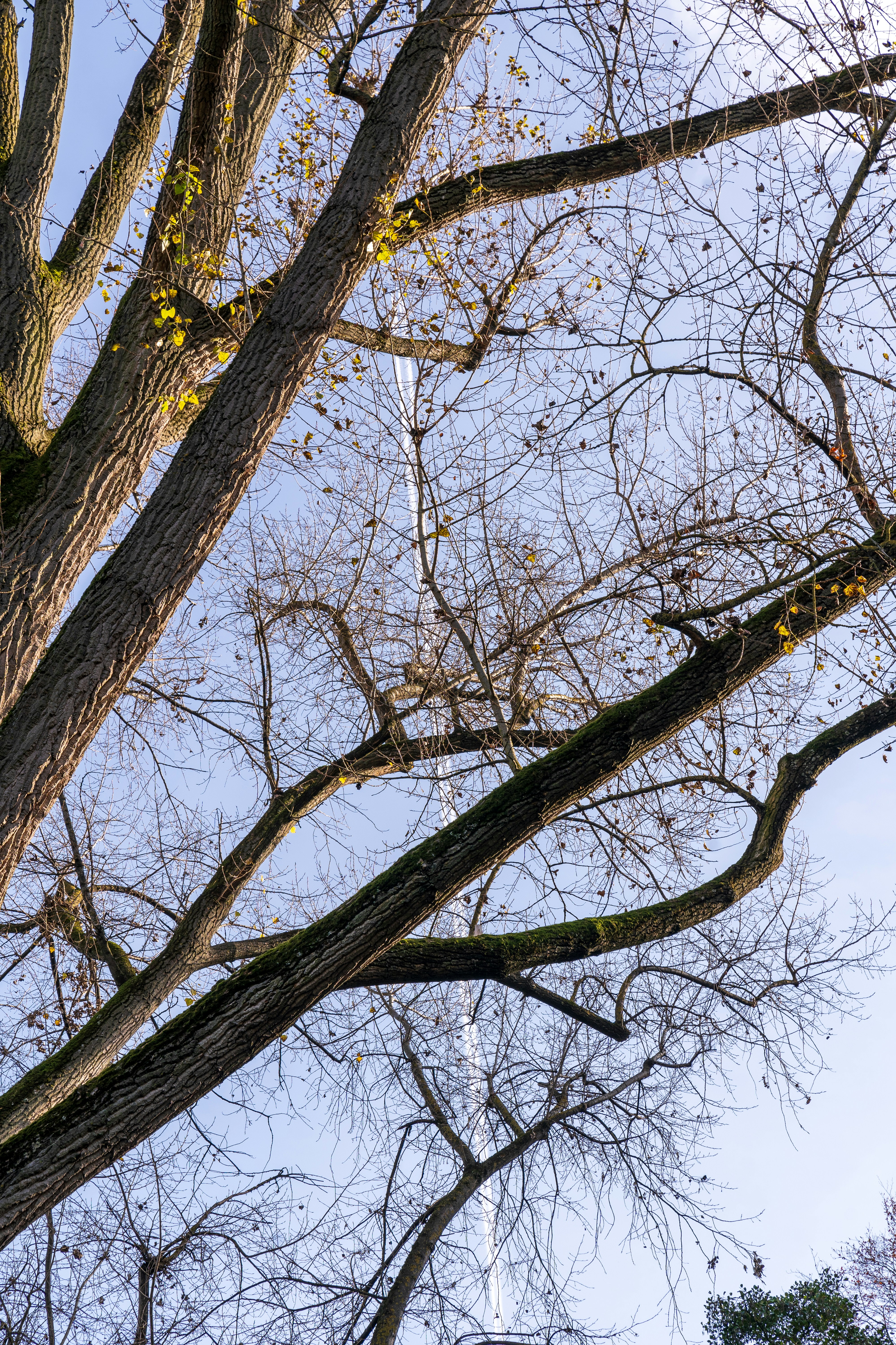 Photo by bangscreative