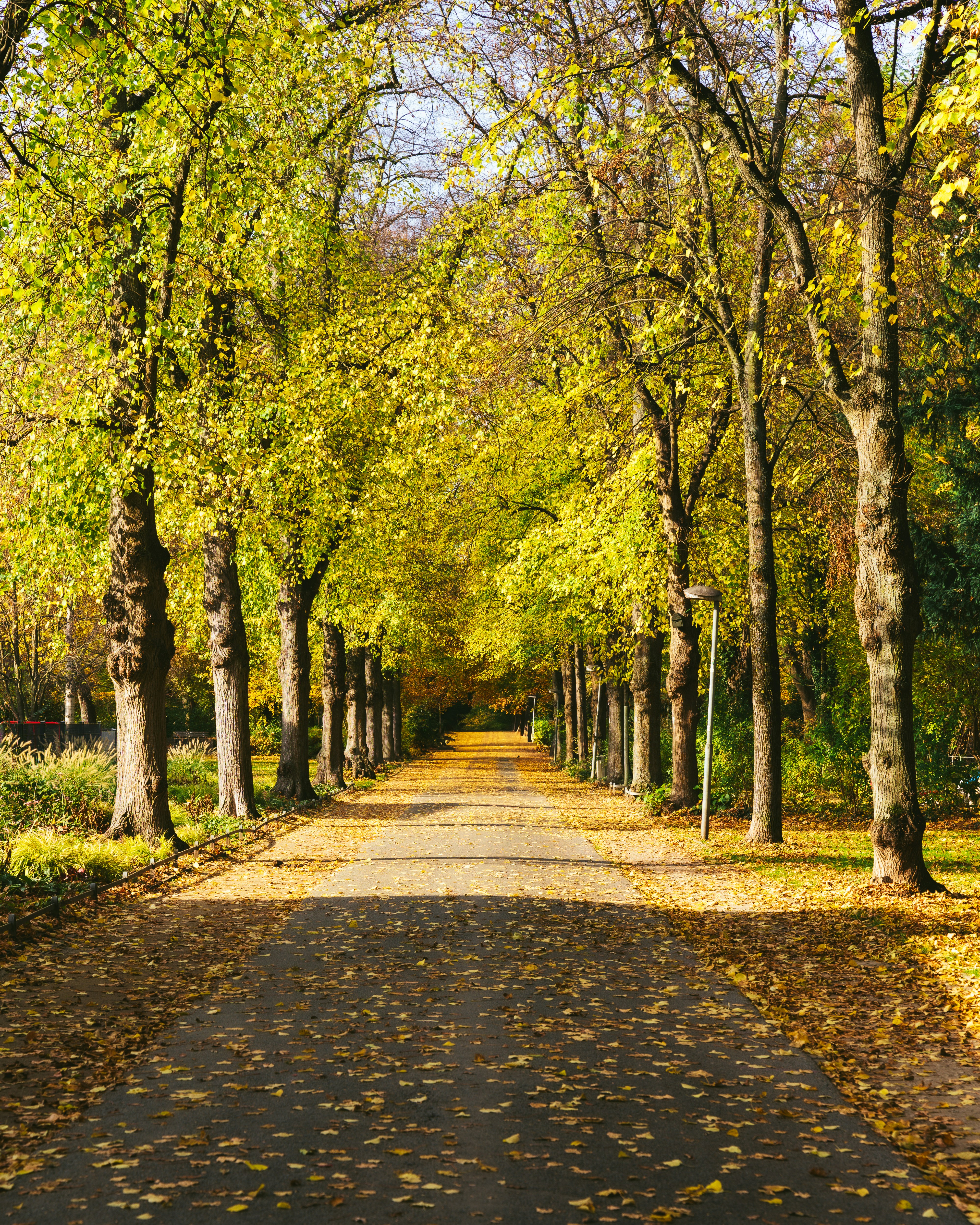 Photo by bangscreative