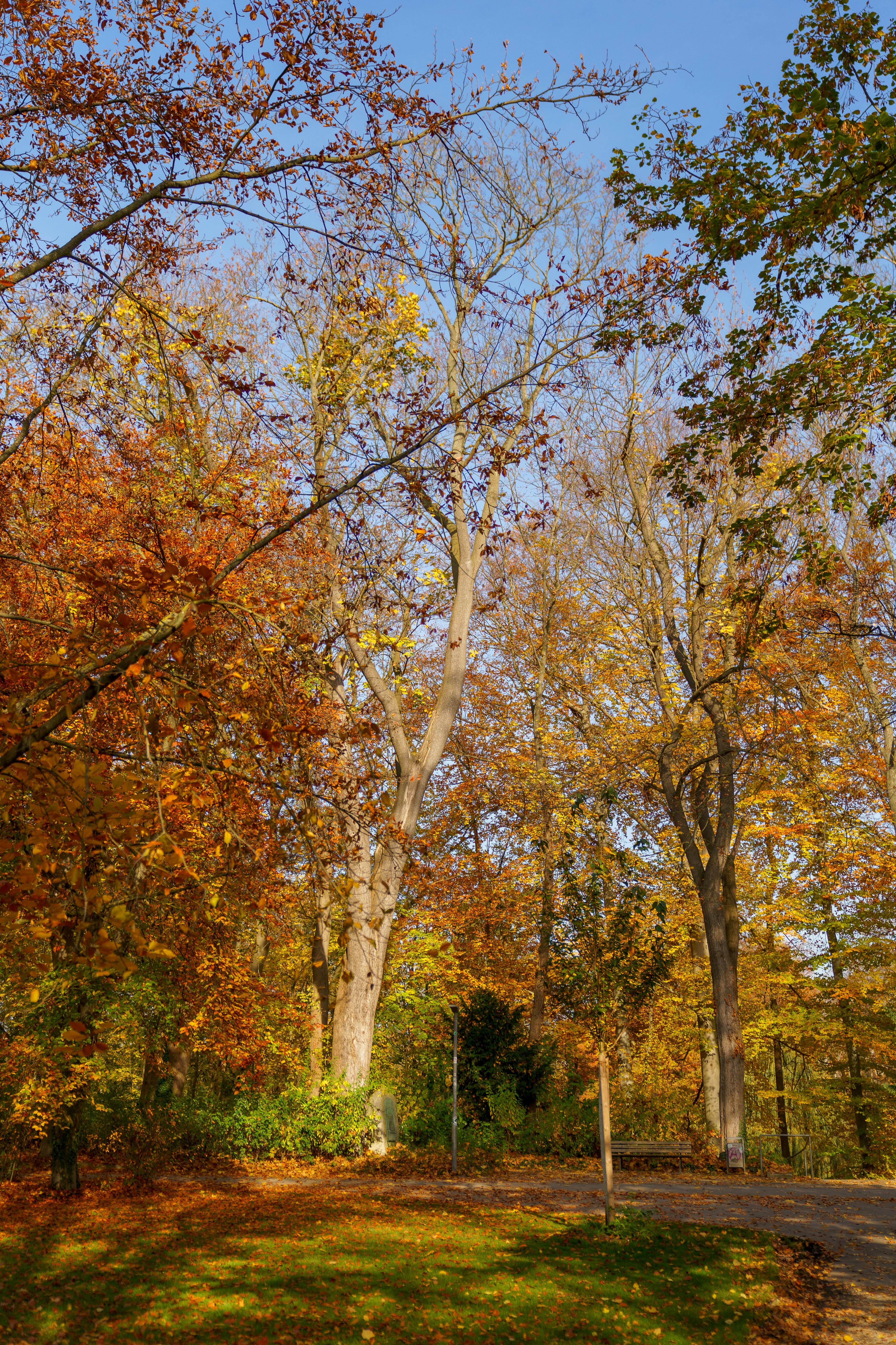 Photo by bangscreative