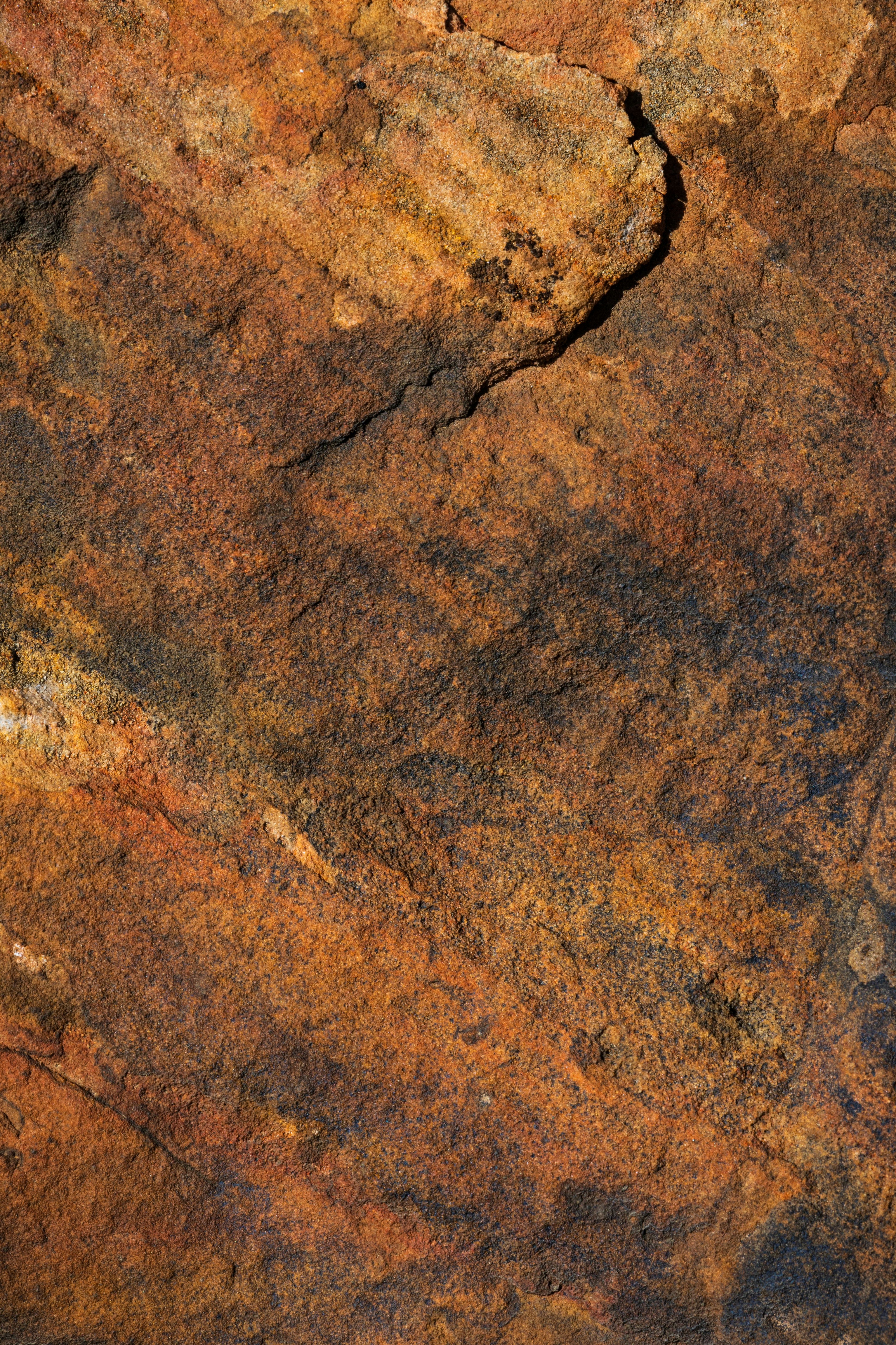 Photo by brandonstoll