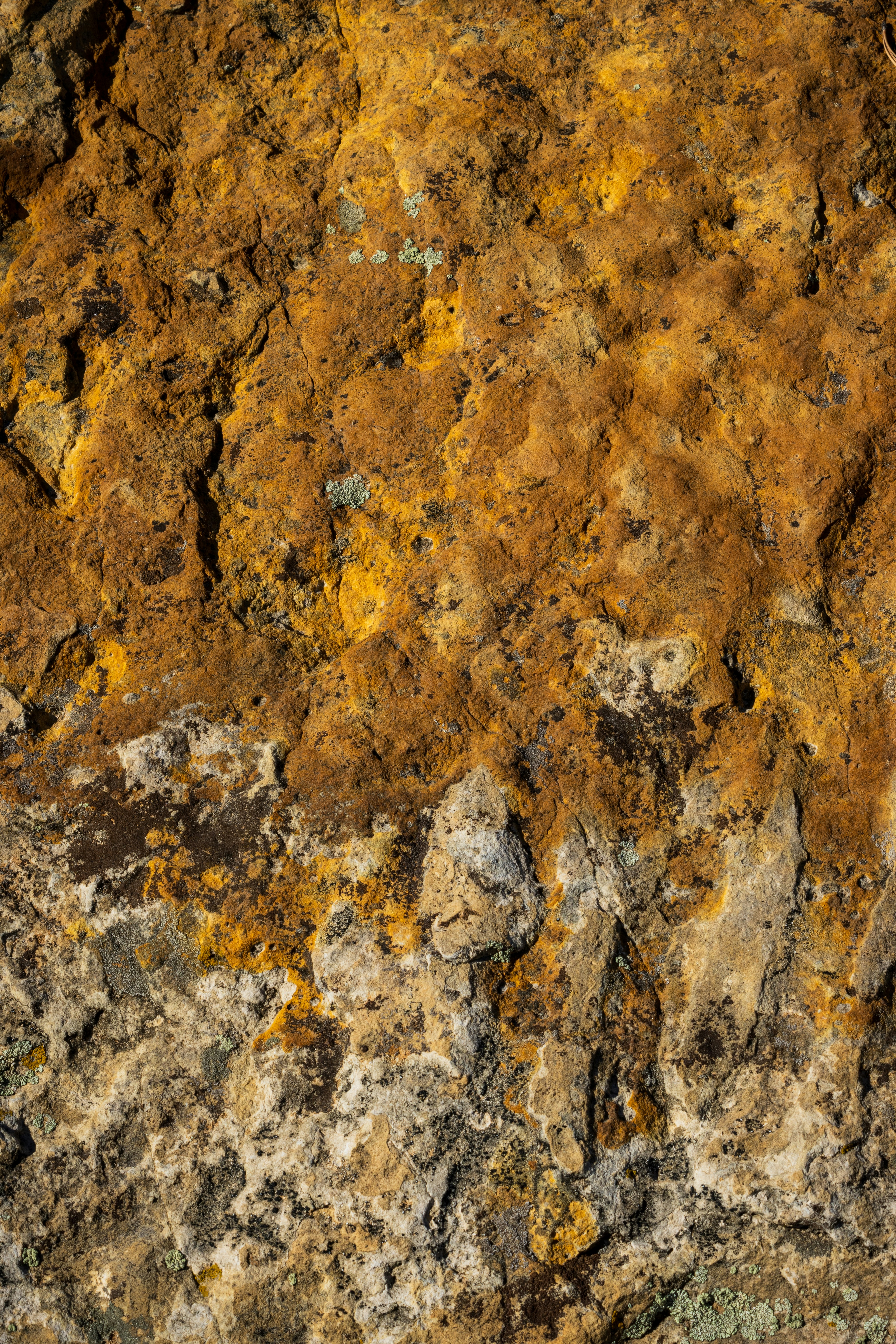 Photo by brandonstoll