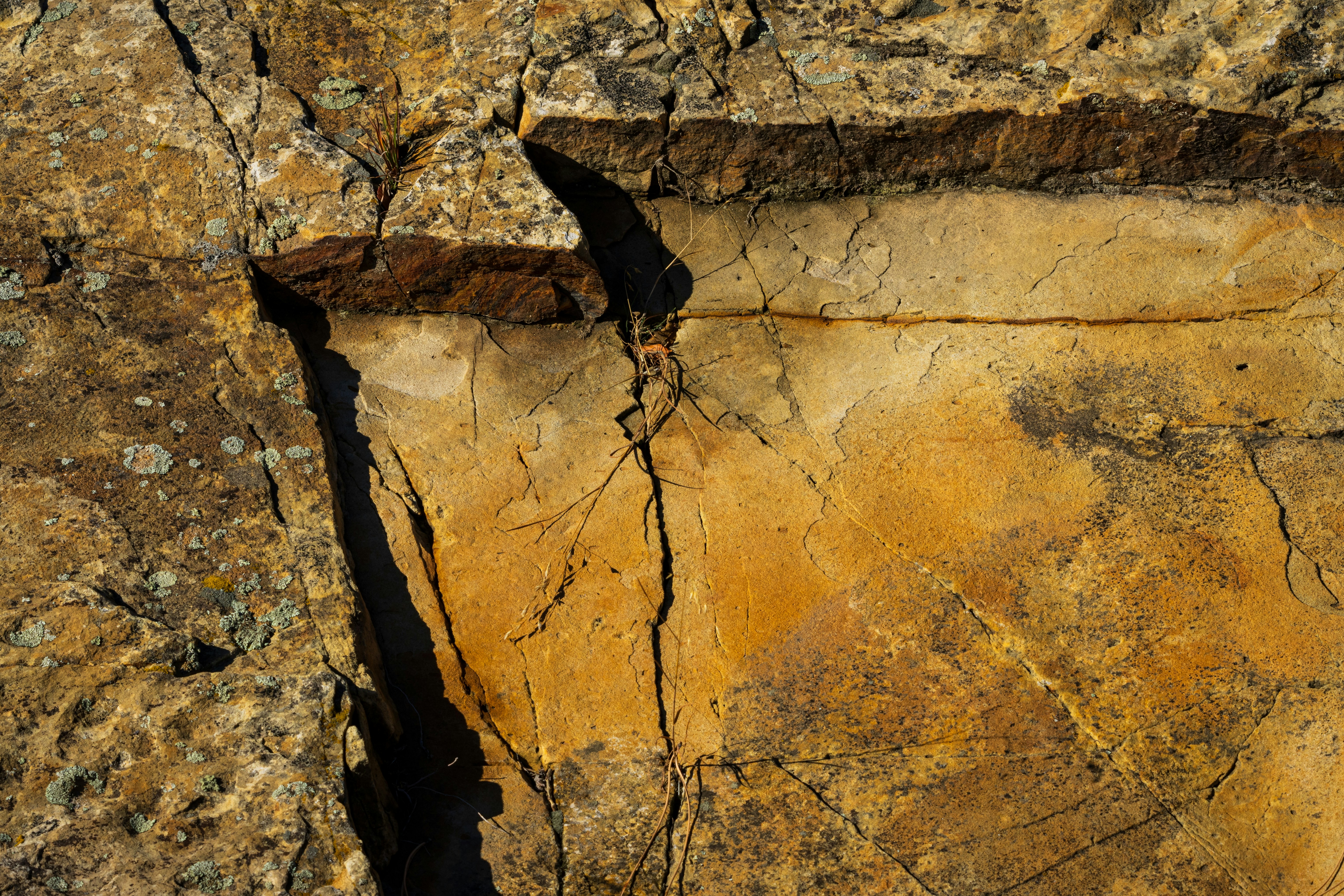 Photo by brandonstoll