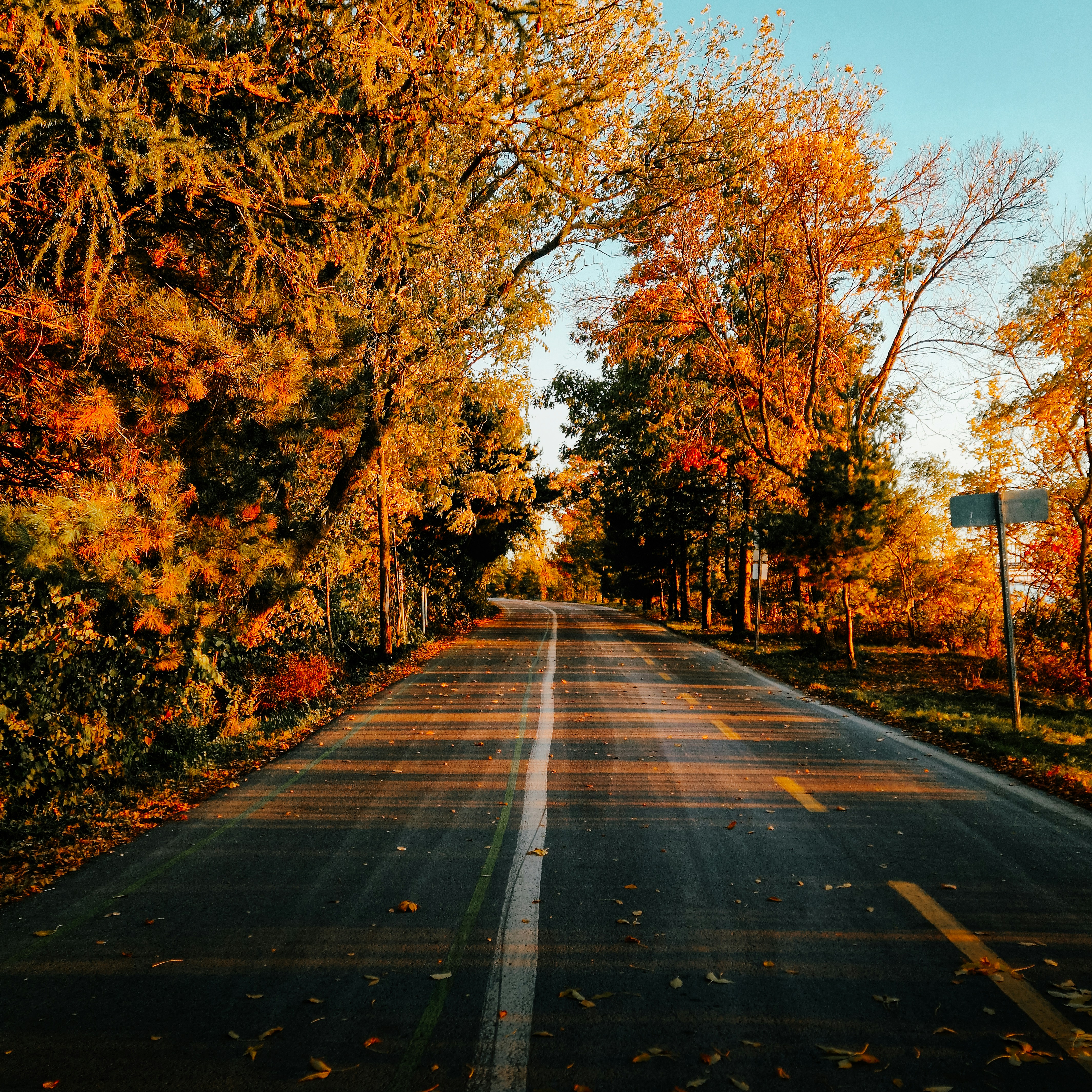 Photo by beyondreality