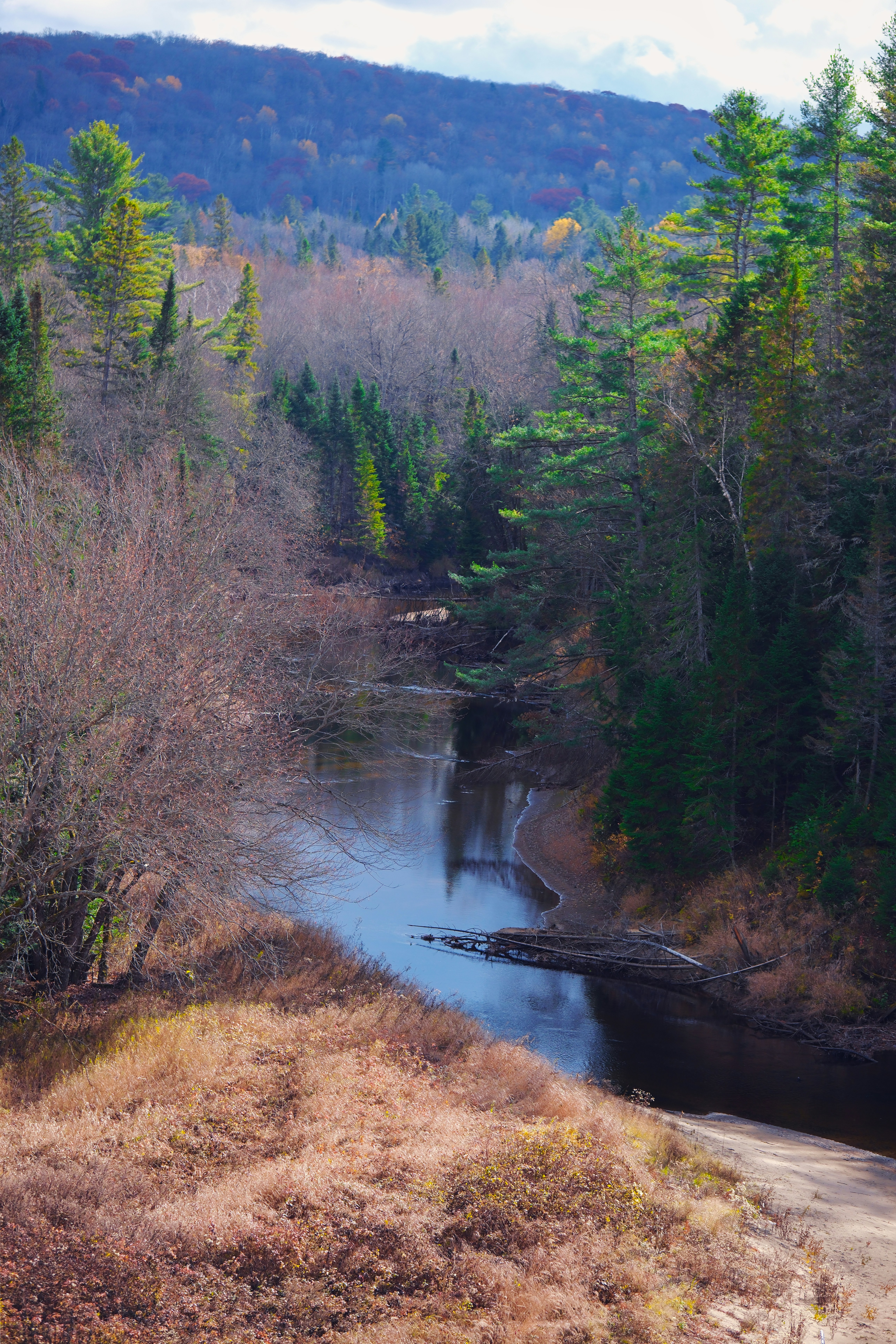 Photo by surjasendas