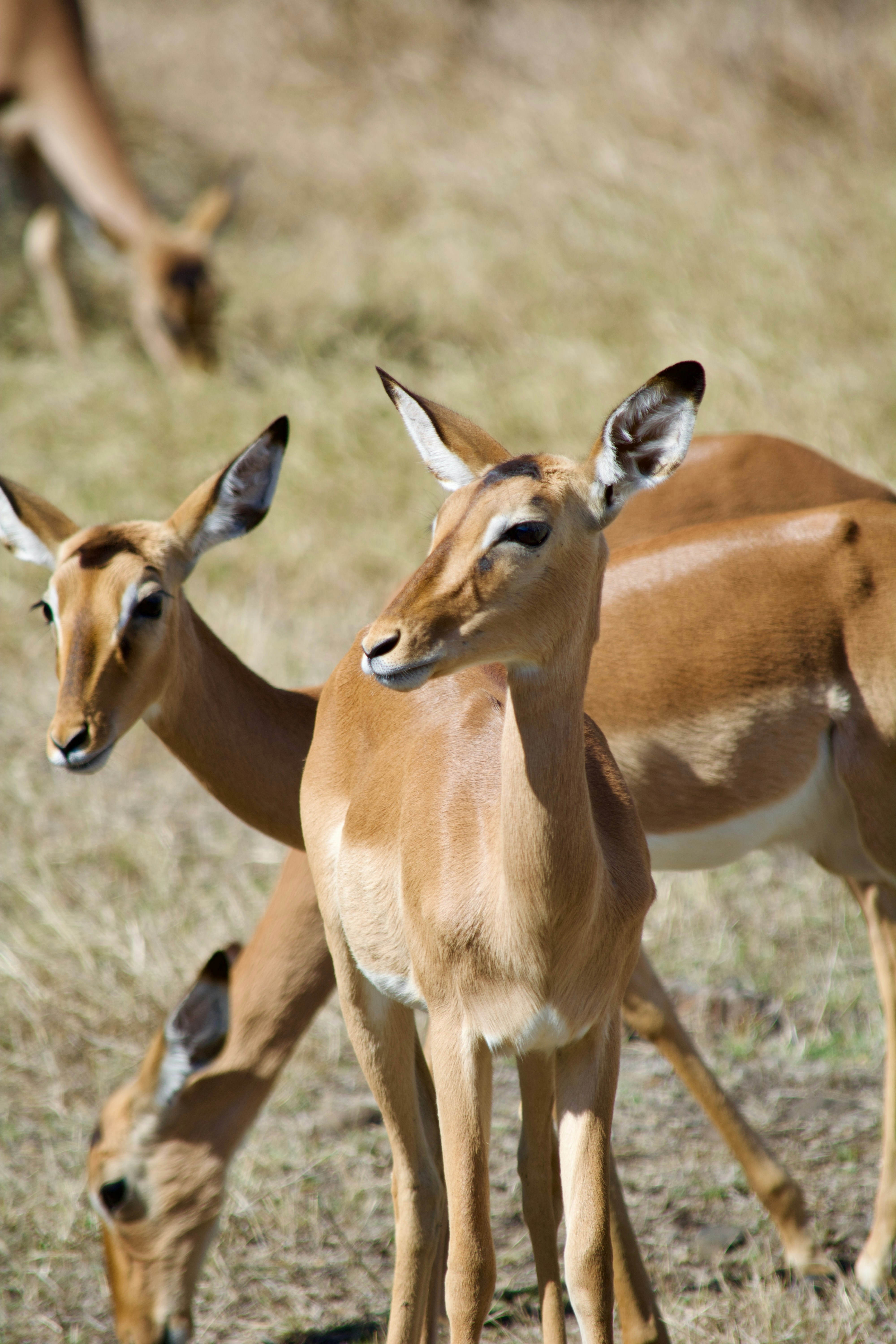 Photo by arptrastogi