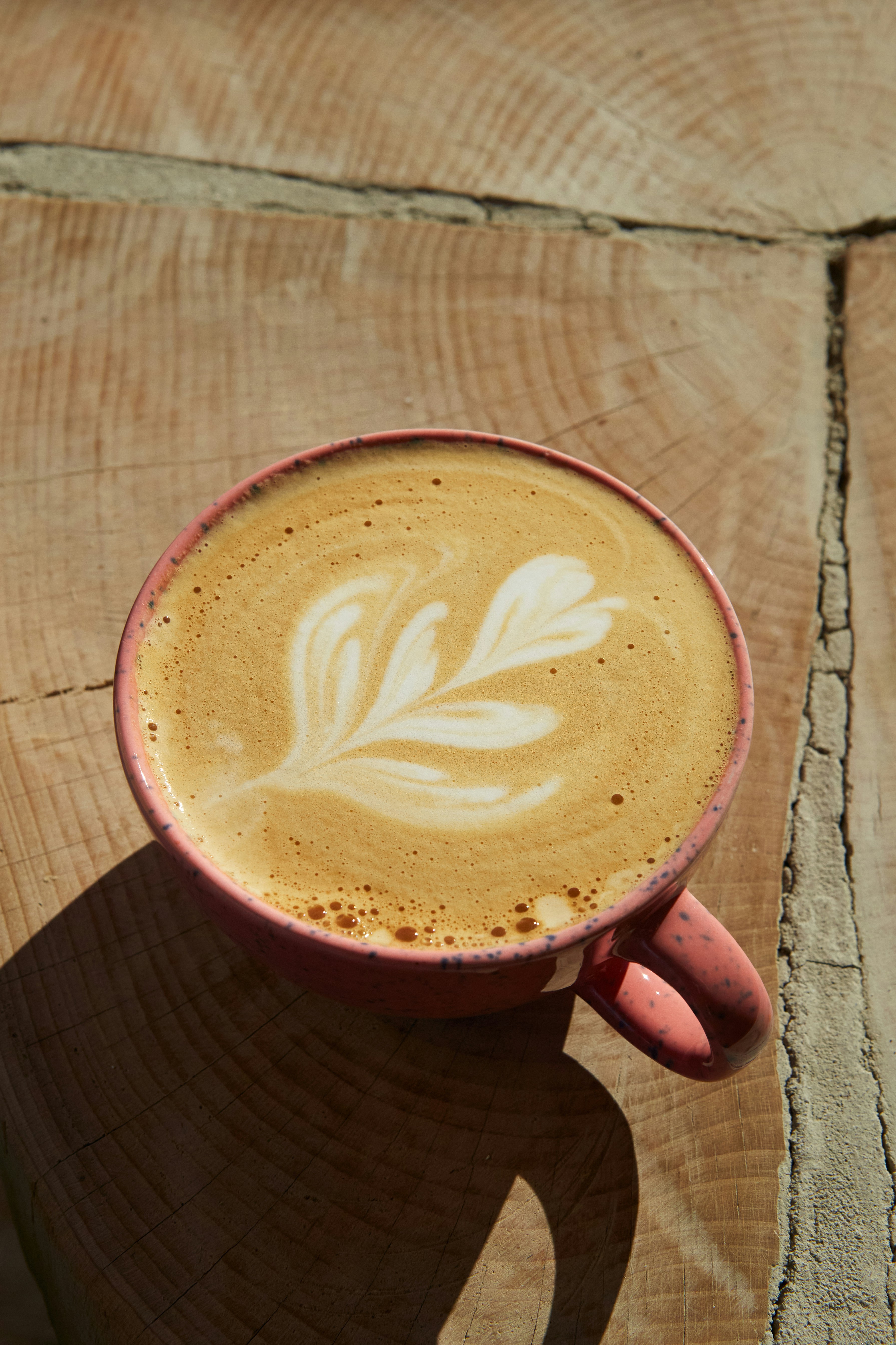 Oomi Specialty Coffee Blend